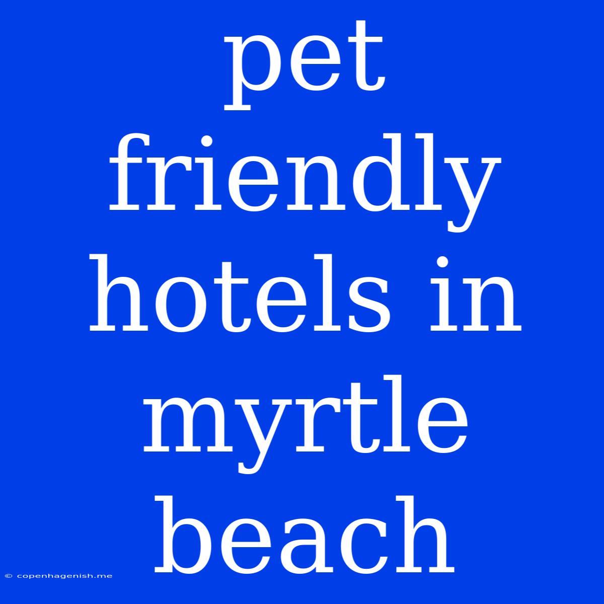 Pet Friendly Hotels In Myrtle Beach