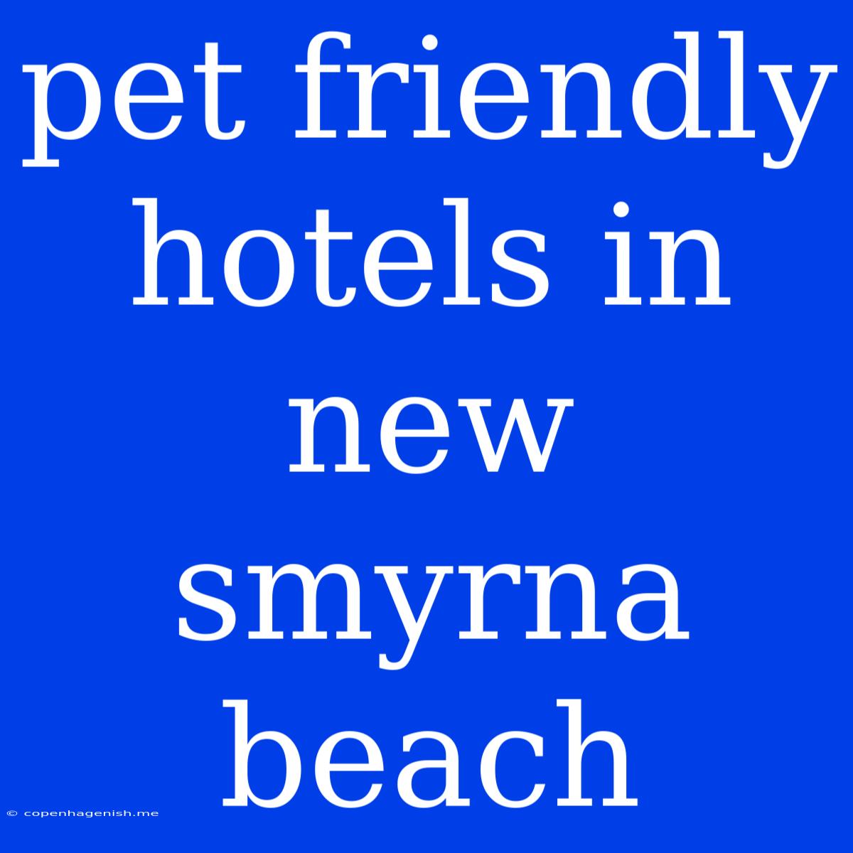 Pet Friendly Hotels In New Smyrna Beach