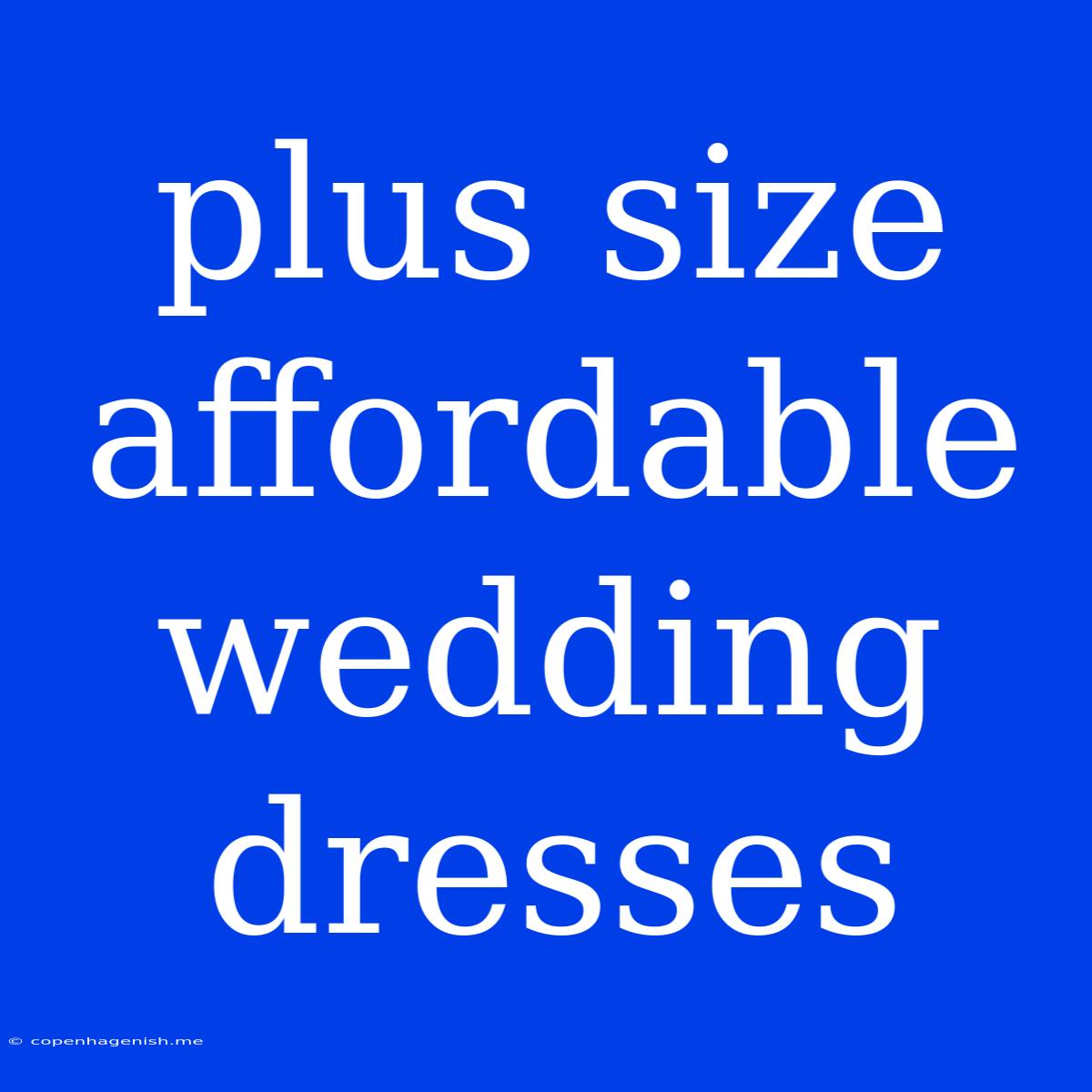 Plus Size Affordable Wedding Dresses