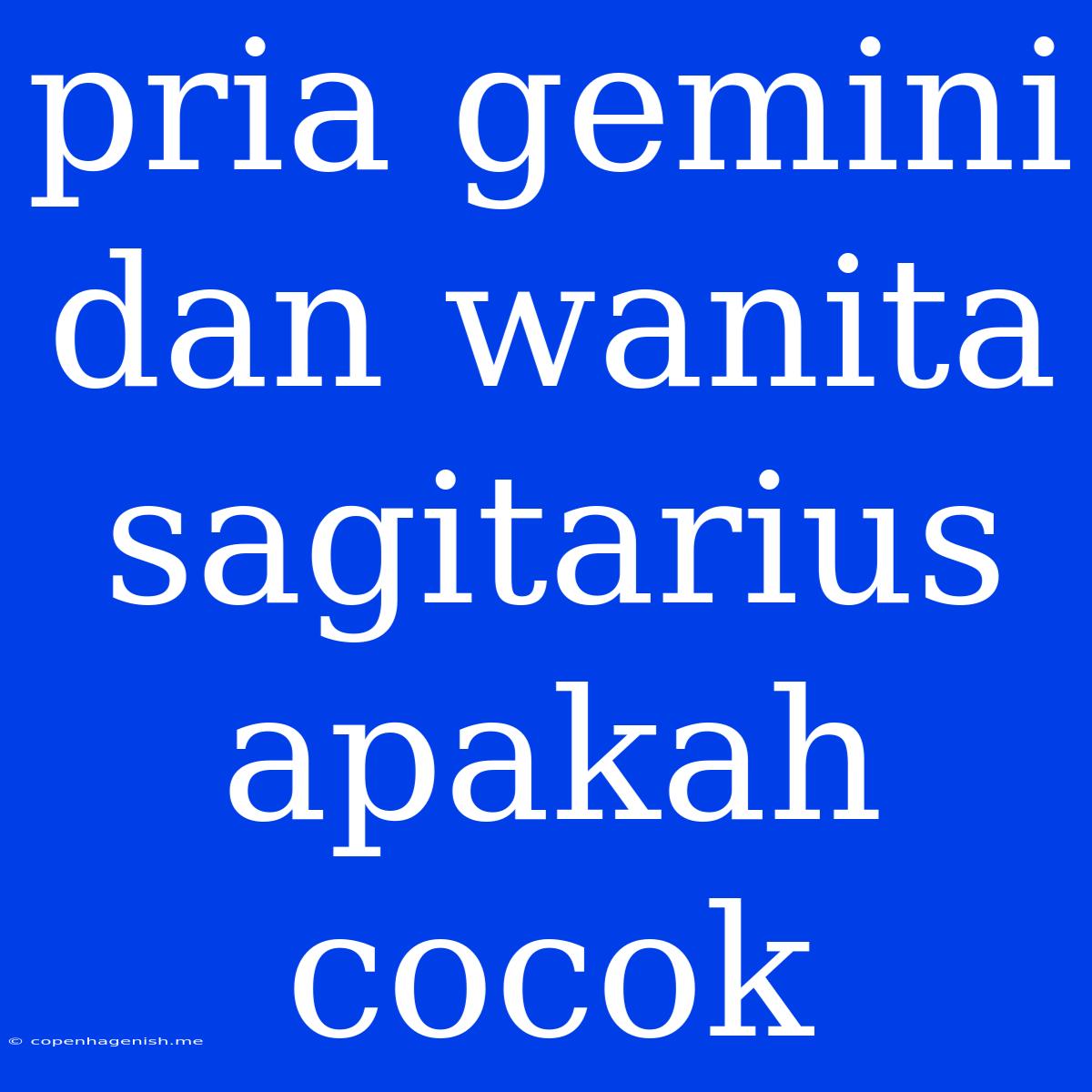 Pria Gemini Dan Wanita Sagitarius Apakah Cocok