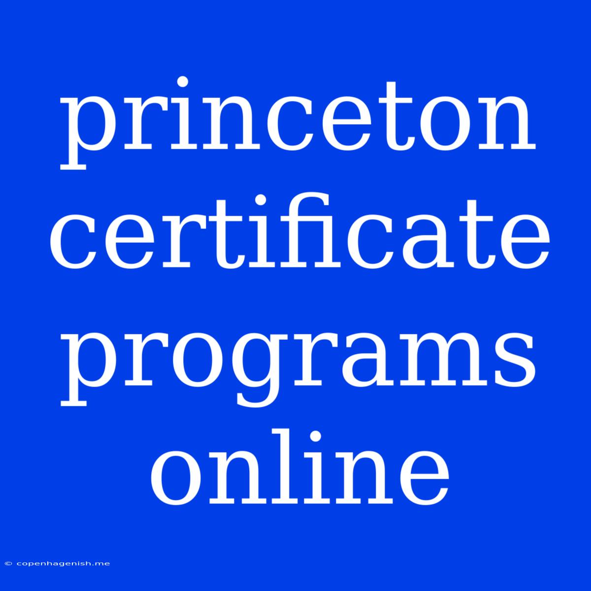 Princeton Certificate Programs Online