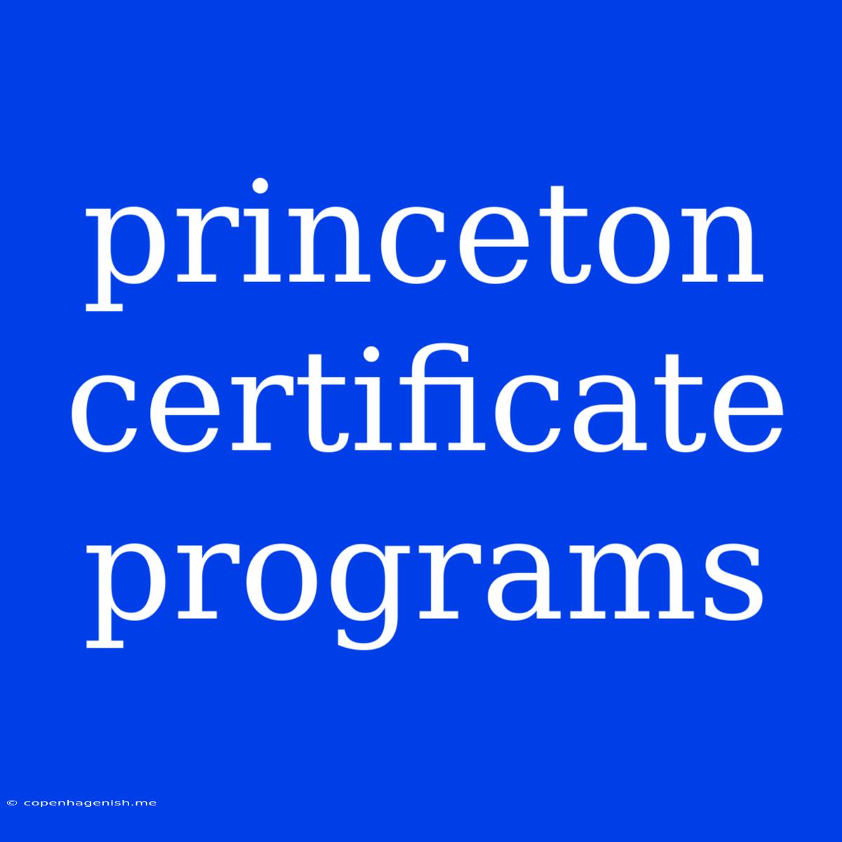 Princeton Certificate Programs