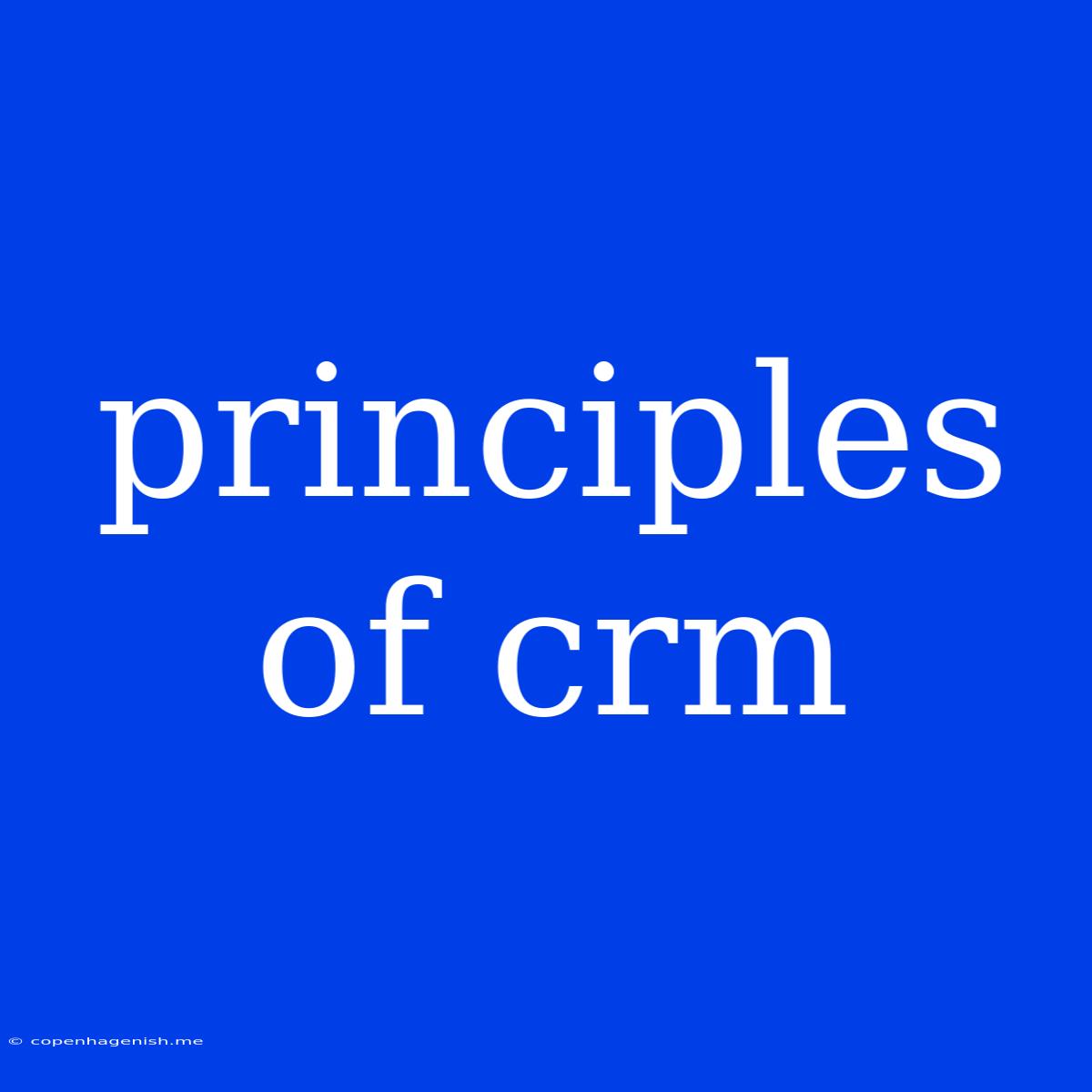 Principles Of Crm