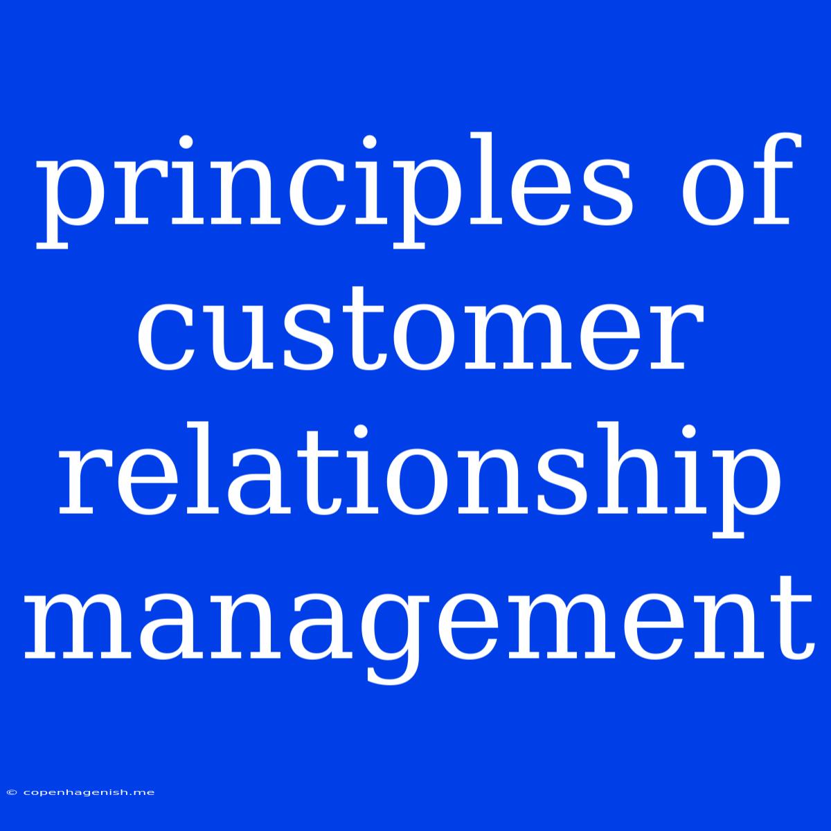 Principles Of Customer Relationship Management