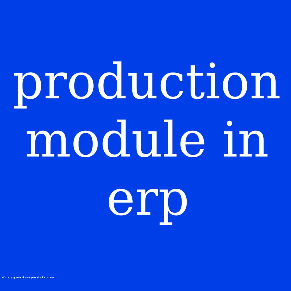 Production Module In Erp