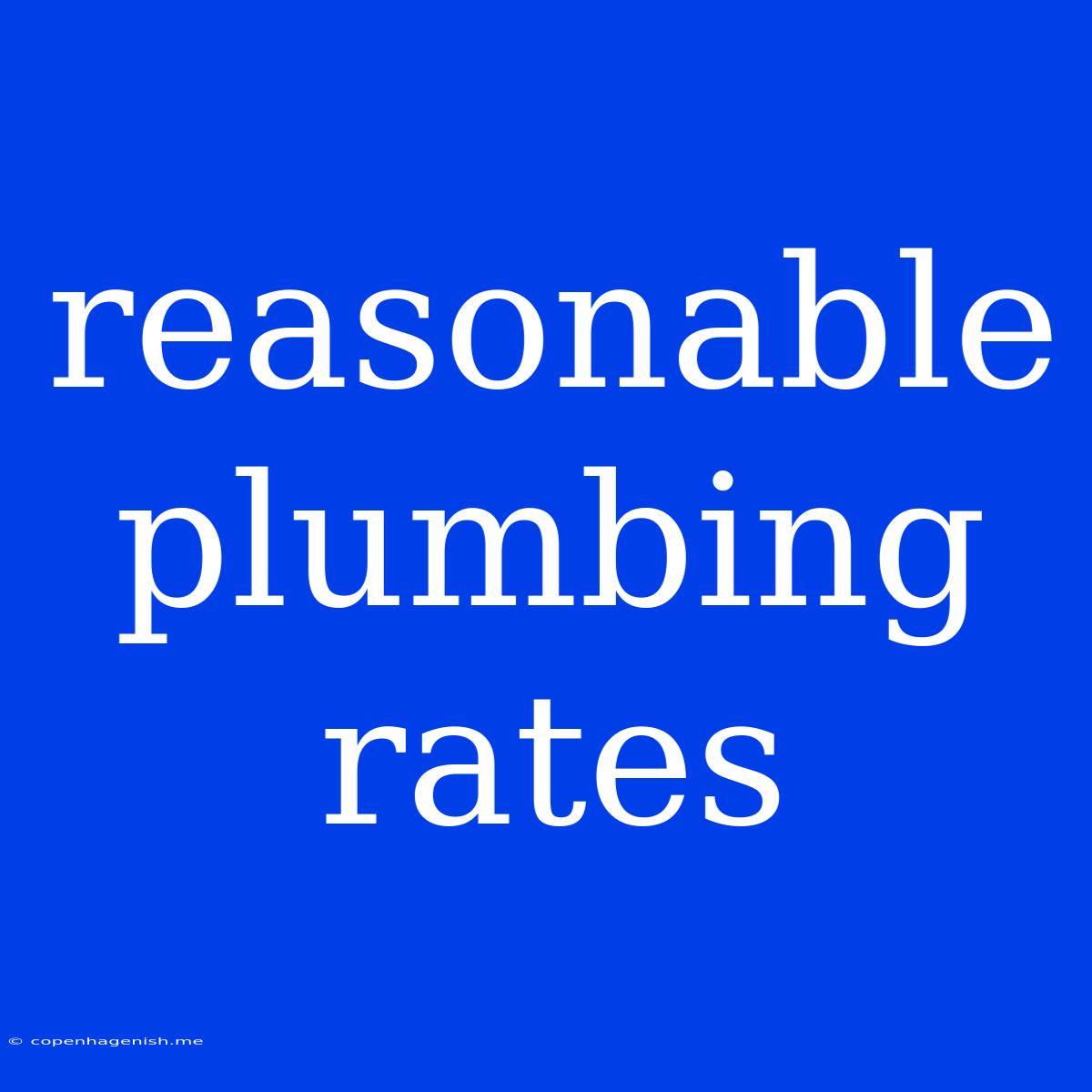 Reasonable Plumbing Rates