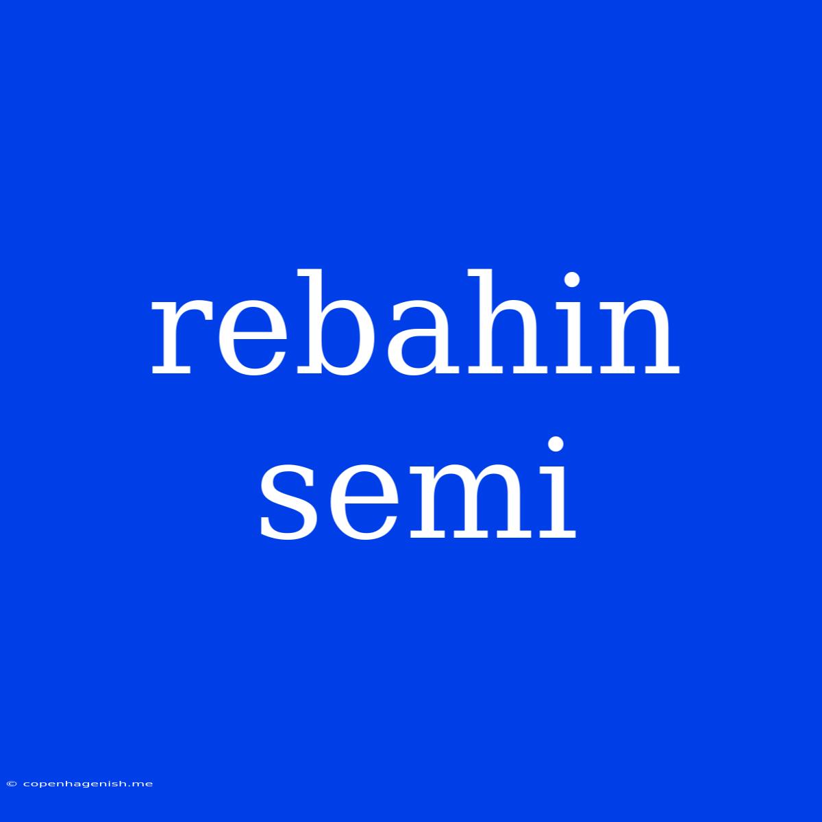 Rebahin Semi