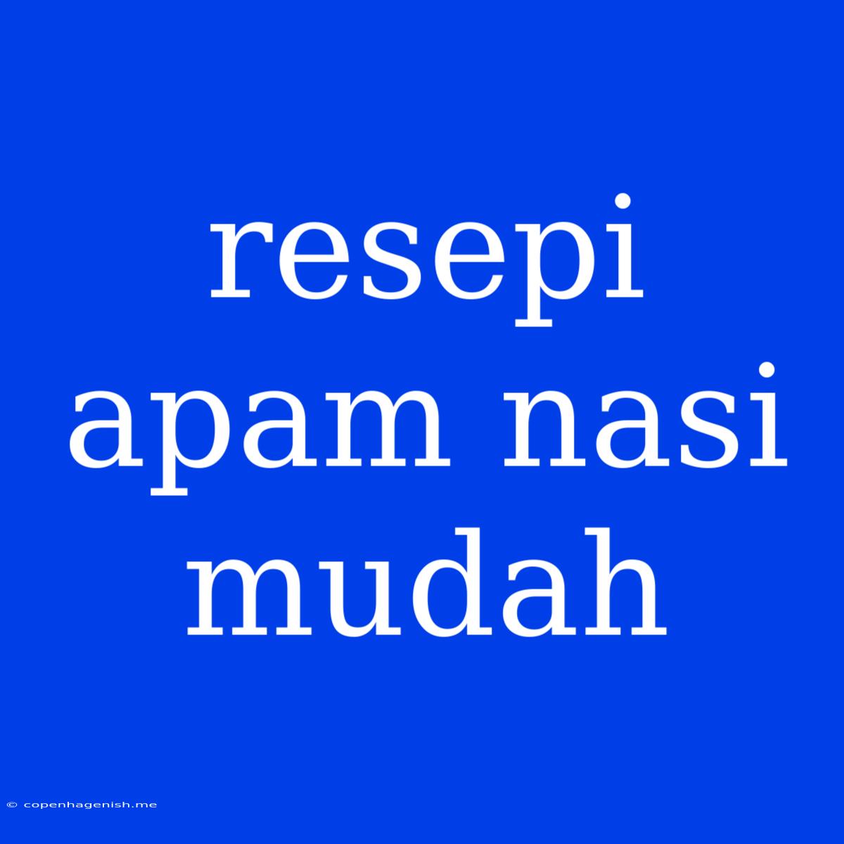 Resepi Apam Nasi Mudah