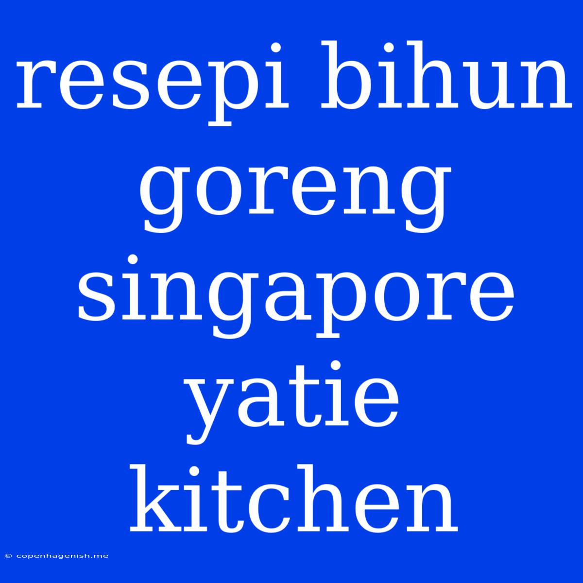 Resepi Bihun Goreng Singapore Yatie Kitchen