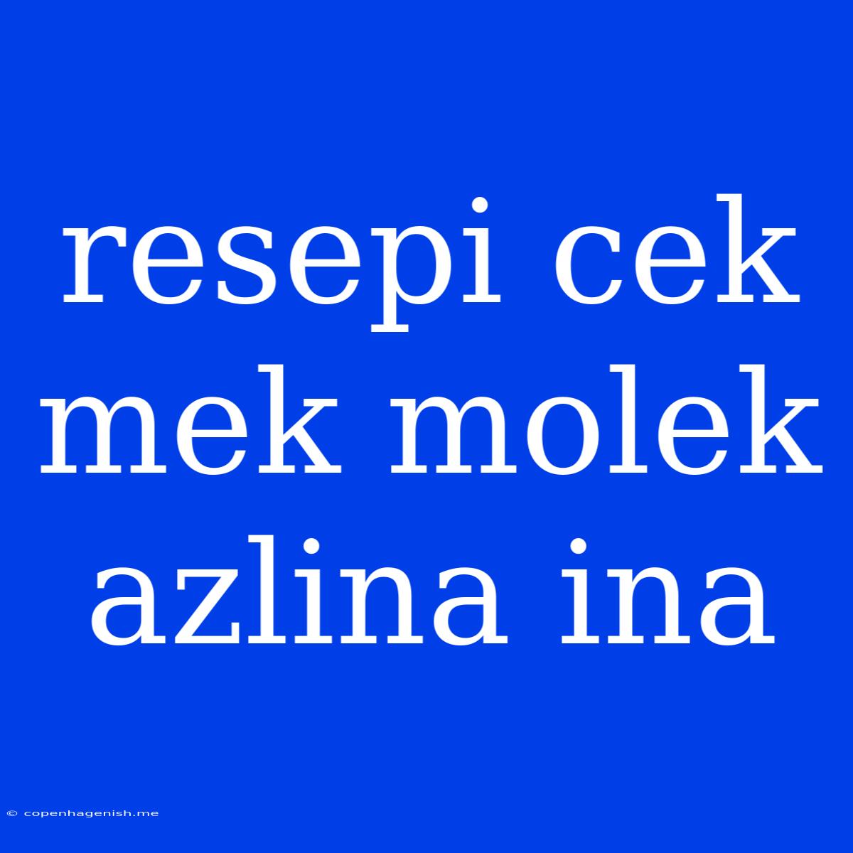 Resepi Cek Mek Molek Azlina Ina