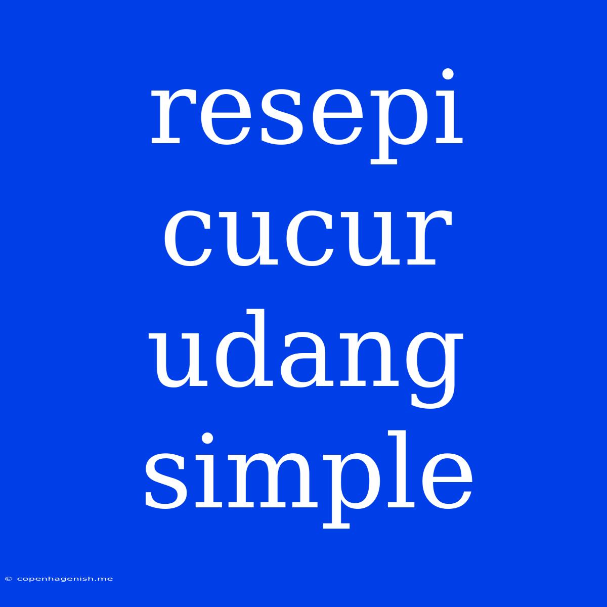 Resepi Cucur Udang Simple