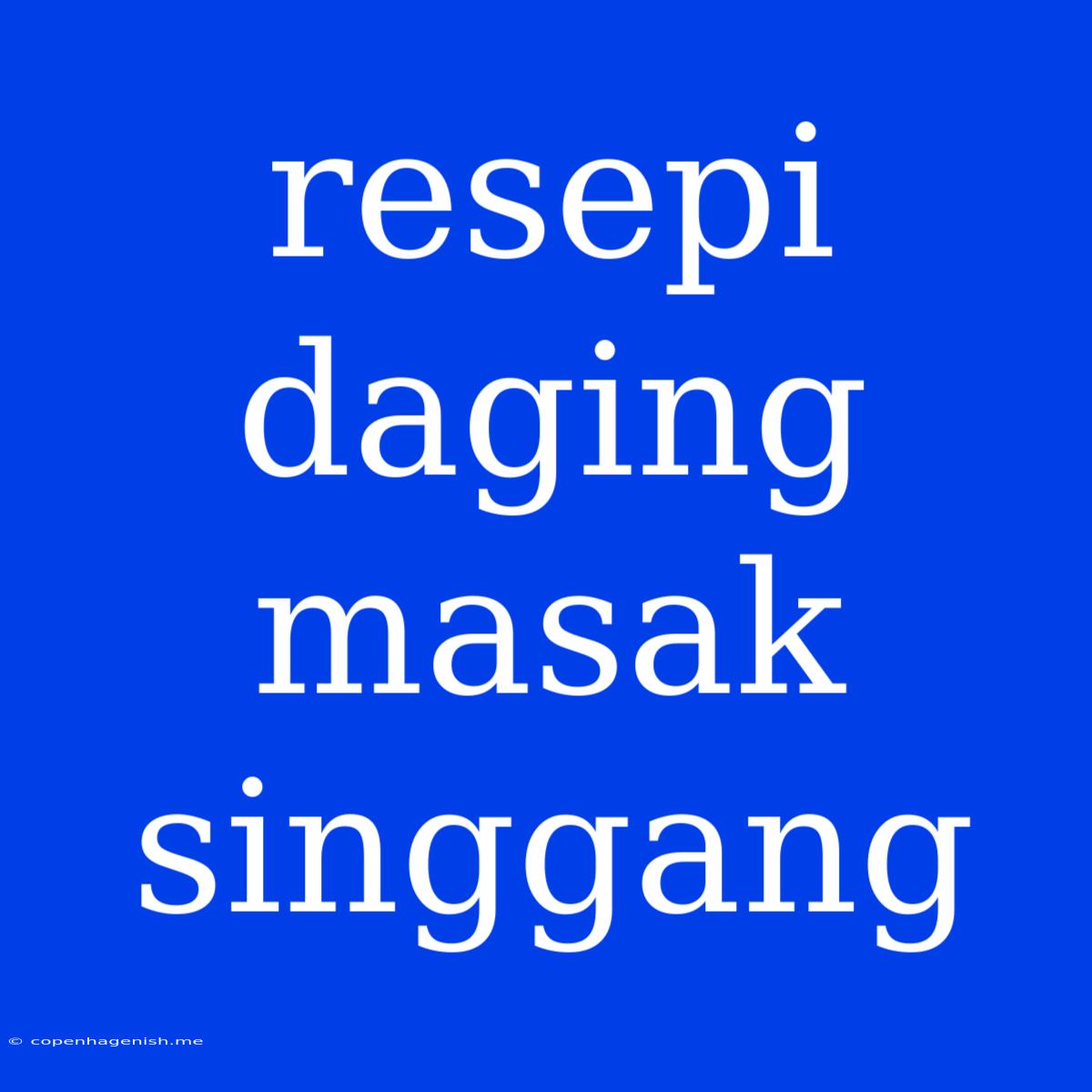 Resepi Daging Masak Singgang