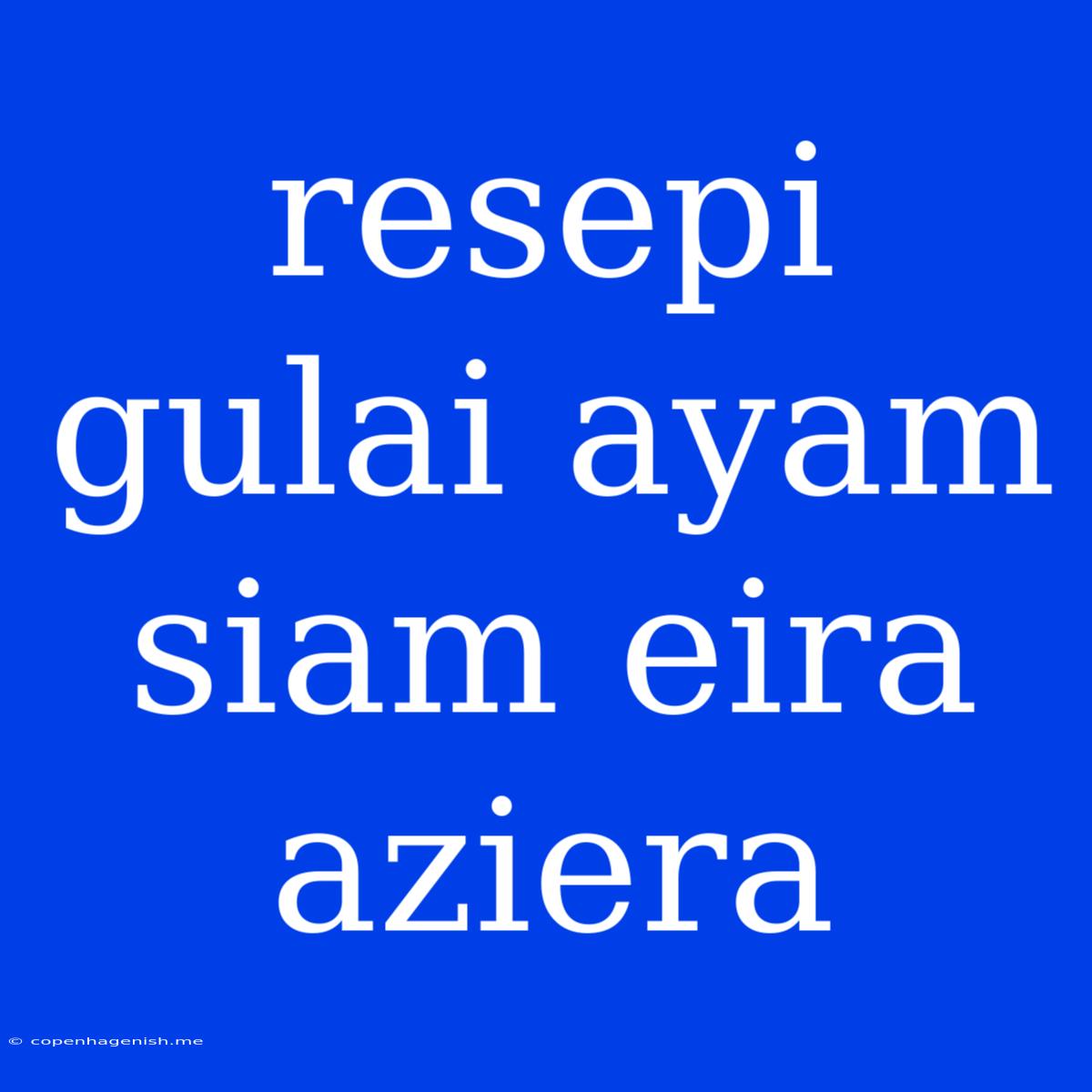 Resepi Gulai Ayam Siam Eira Aziera