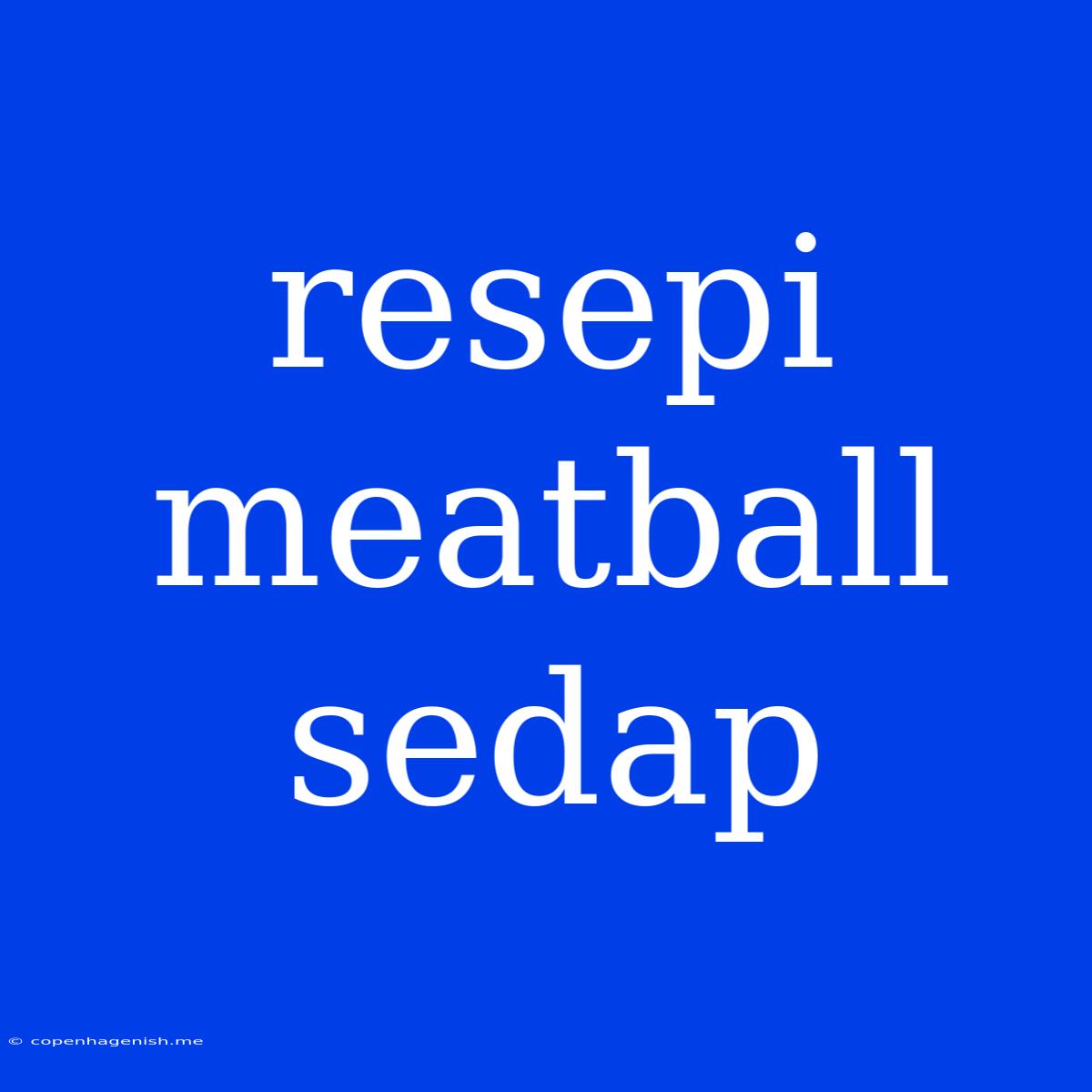 Resepi Meatball Sedap