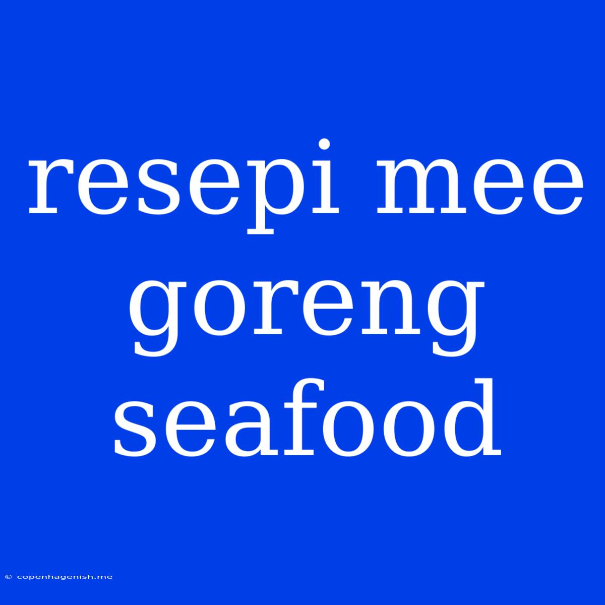 Resepi Mee Goreng Seafood