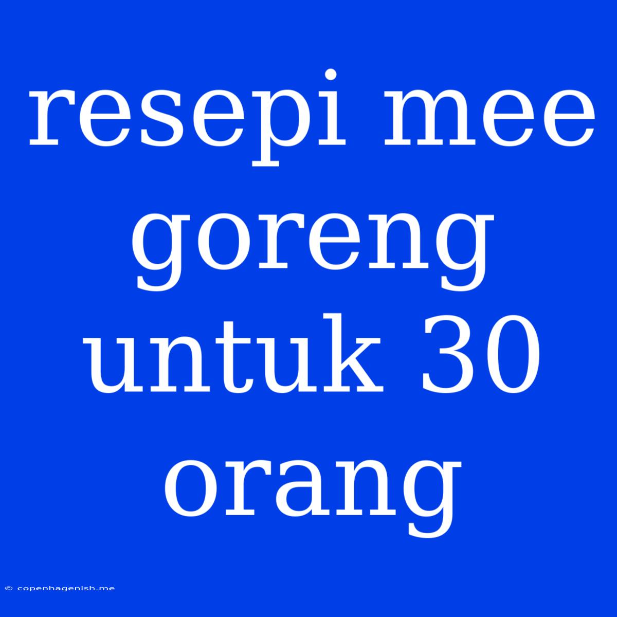 Resepi Mee Goreng Untuk 30 Orang