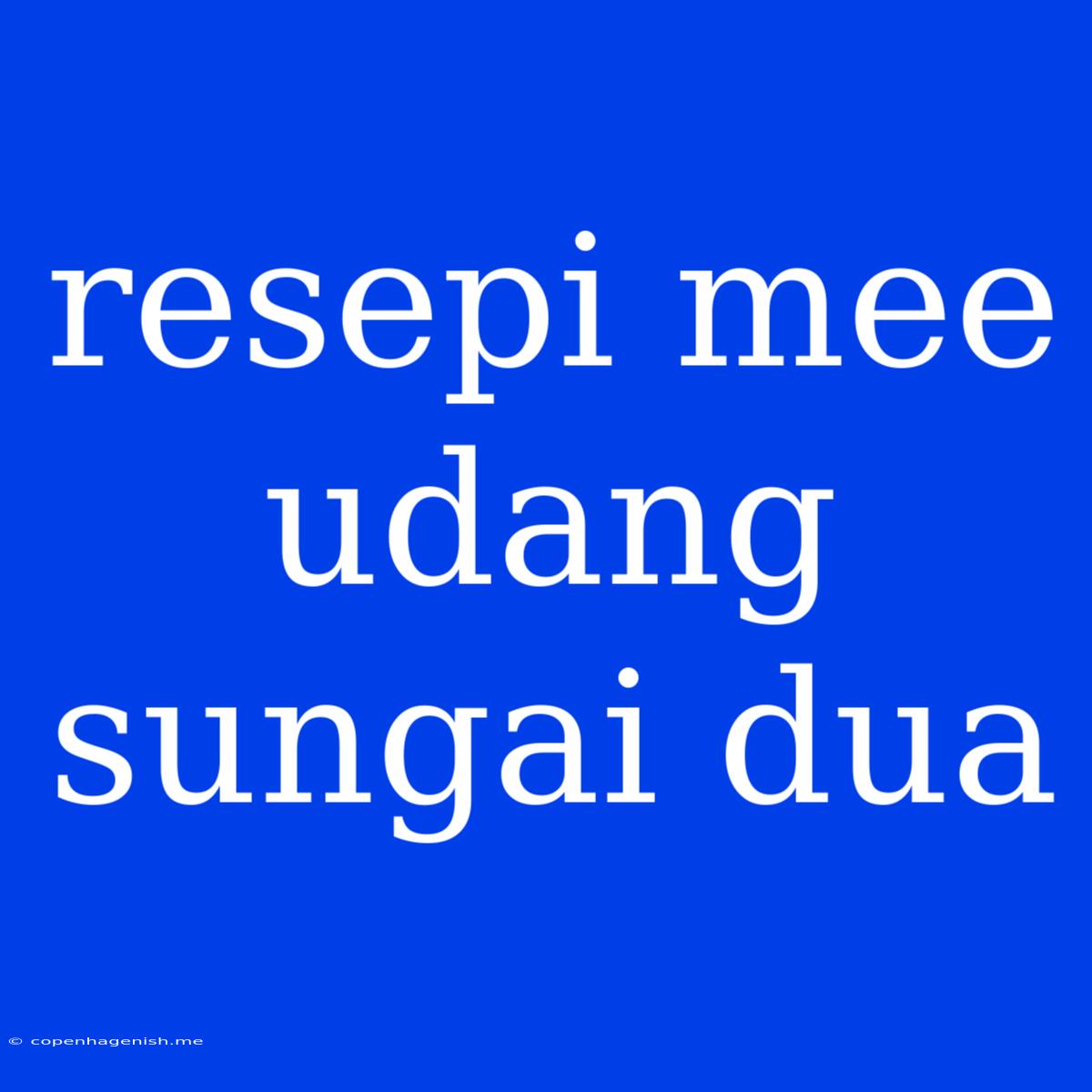 Resepi Mee Udang Sungai Dua