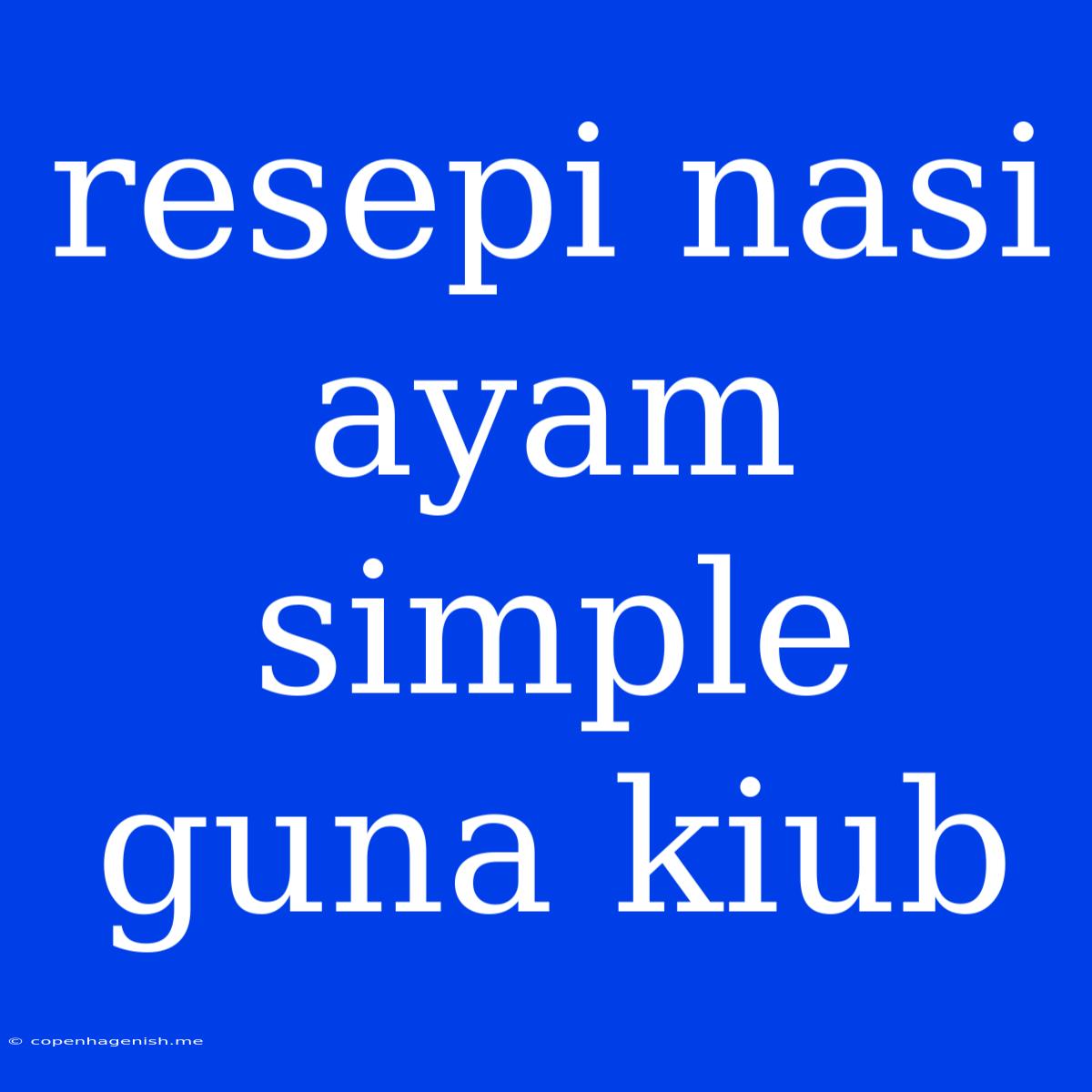 Resepi Nasi Ayam Simple Guna Kiub