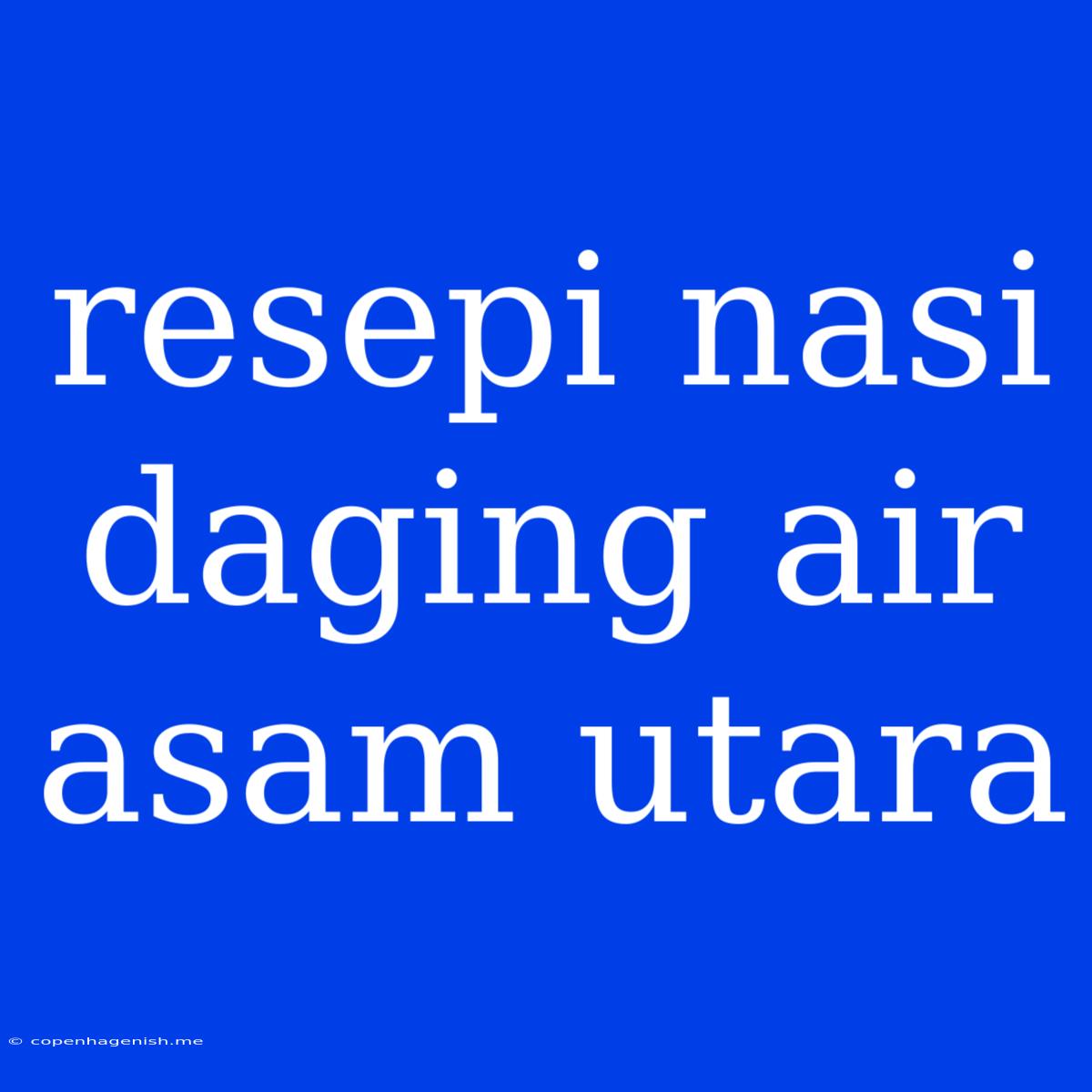 Resepi Nasi Daging Air Asam Utara