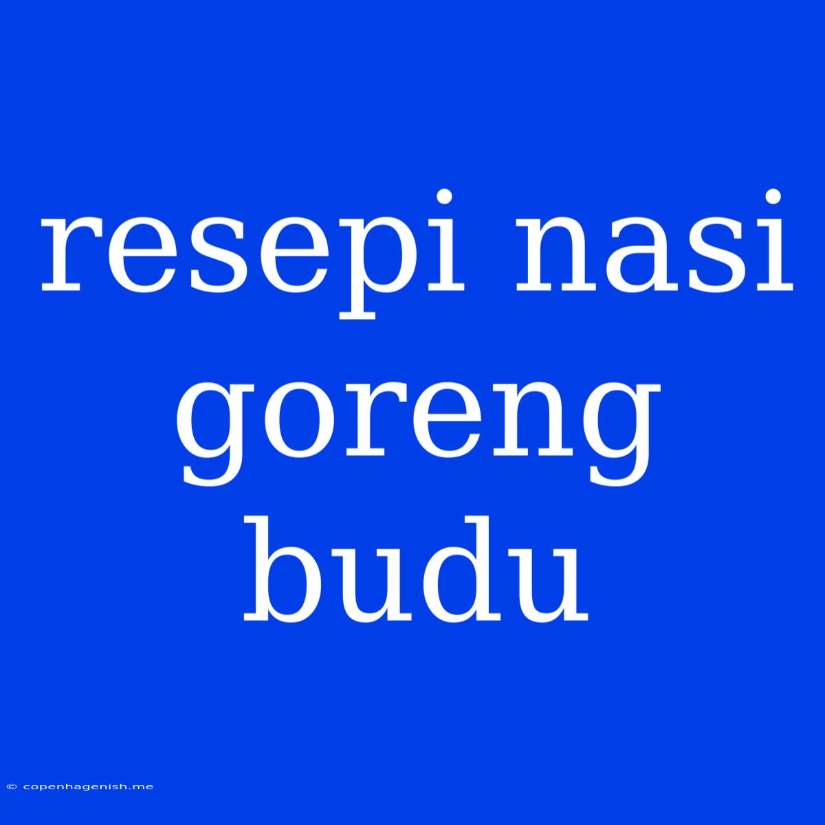 Resepi Nasi Goreng Budu