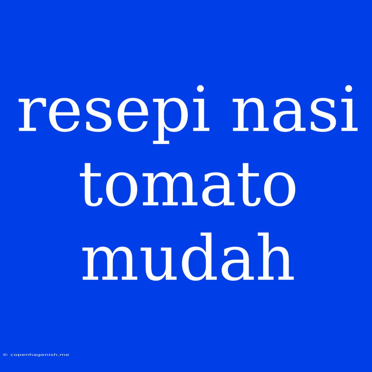 Resepi Nasi Tomato Mudah