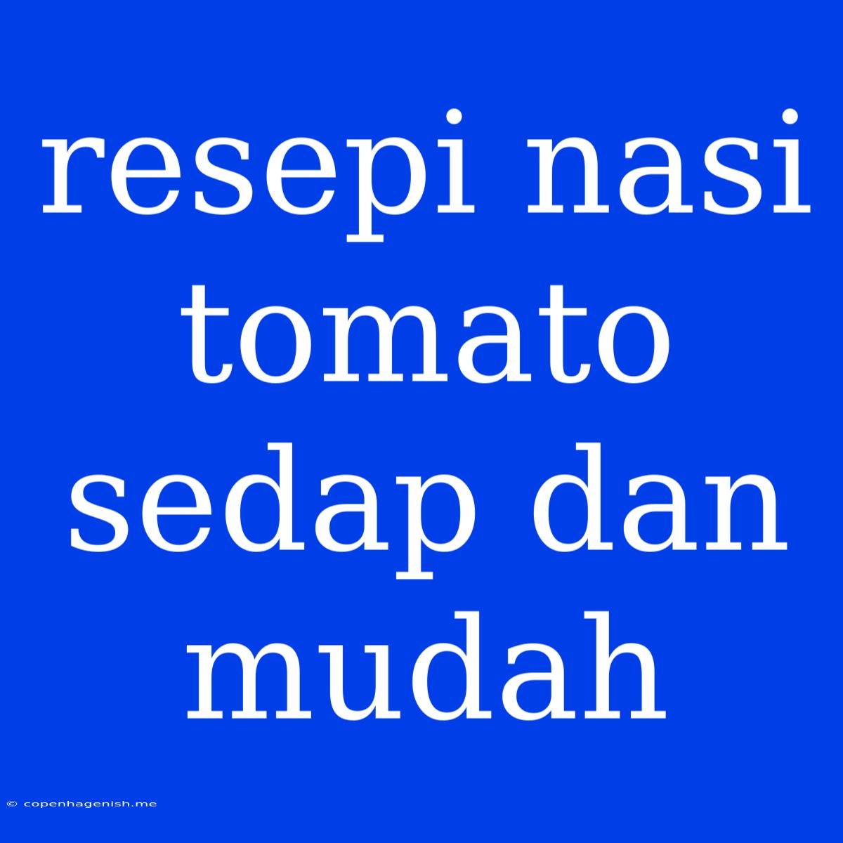 Resepi Nasi Tomato Sedap Dan Mudah