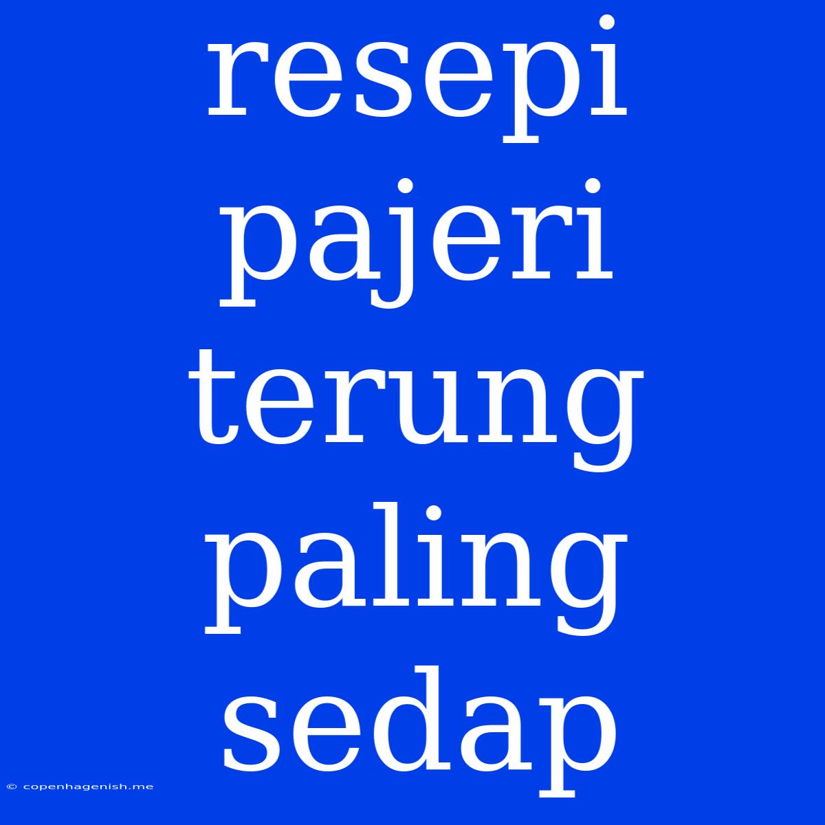 Resepi Pajeri Terung Paling Sedap