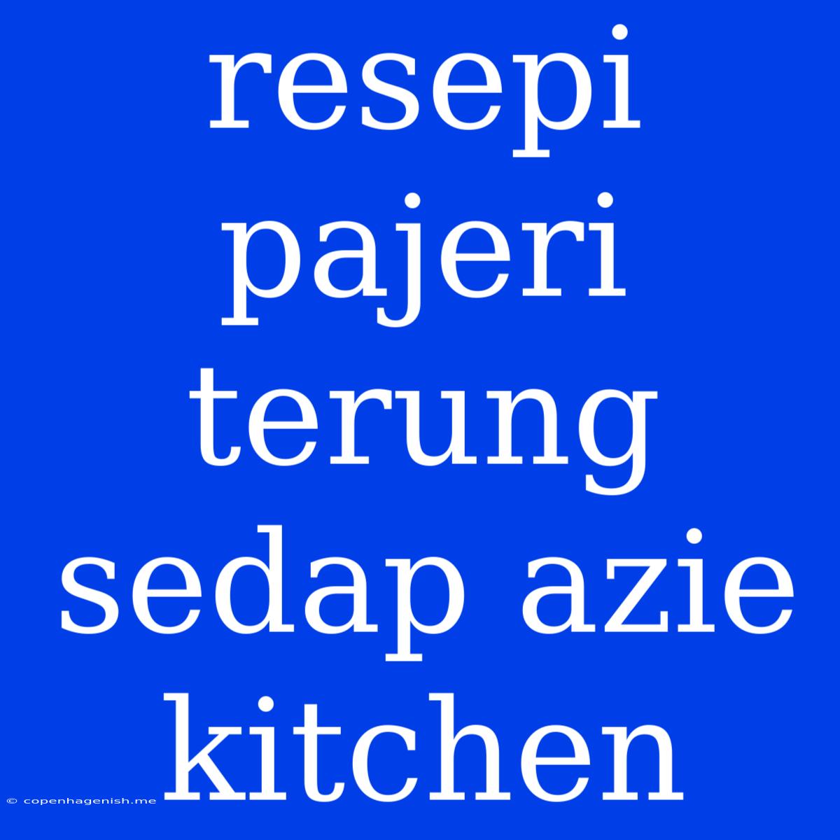 Resepi Pajeri Terung Sedap Azie Kitchen