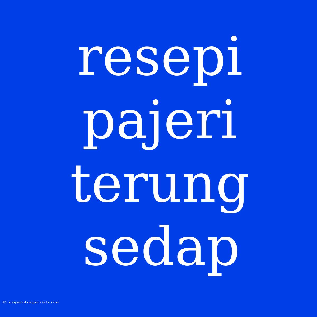 Resepi Pajeri Terung Sedap