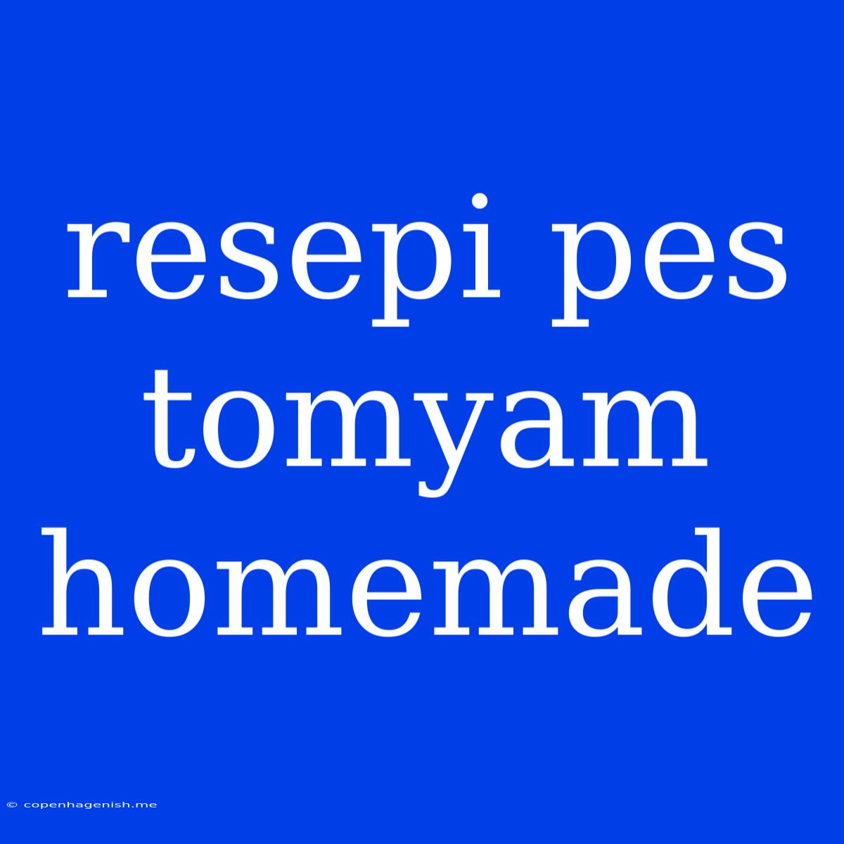 Resepi Pes Tomyam Homemade