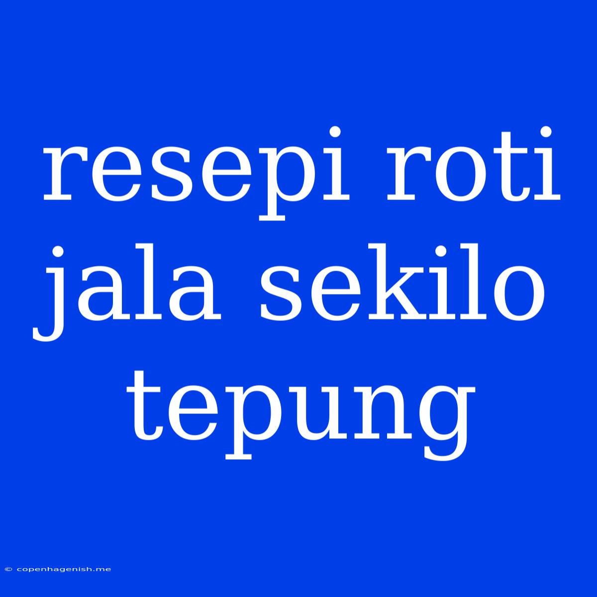 Resepi Roti Jala Sekilo Tepung