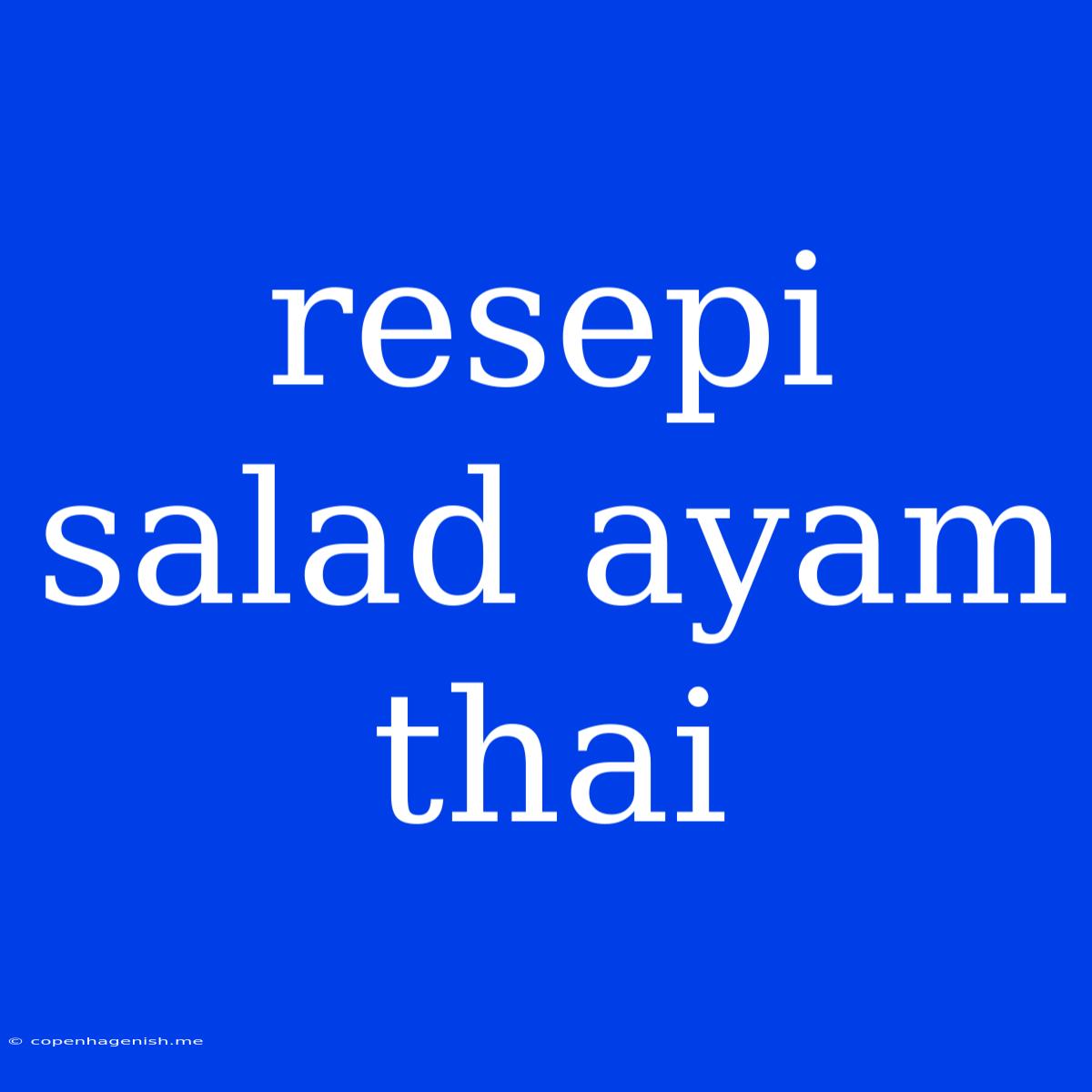 Resepi Salad Ayam Thai