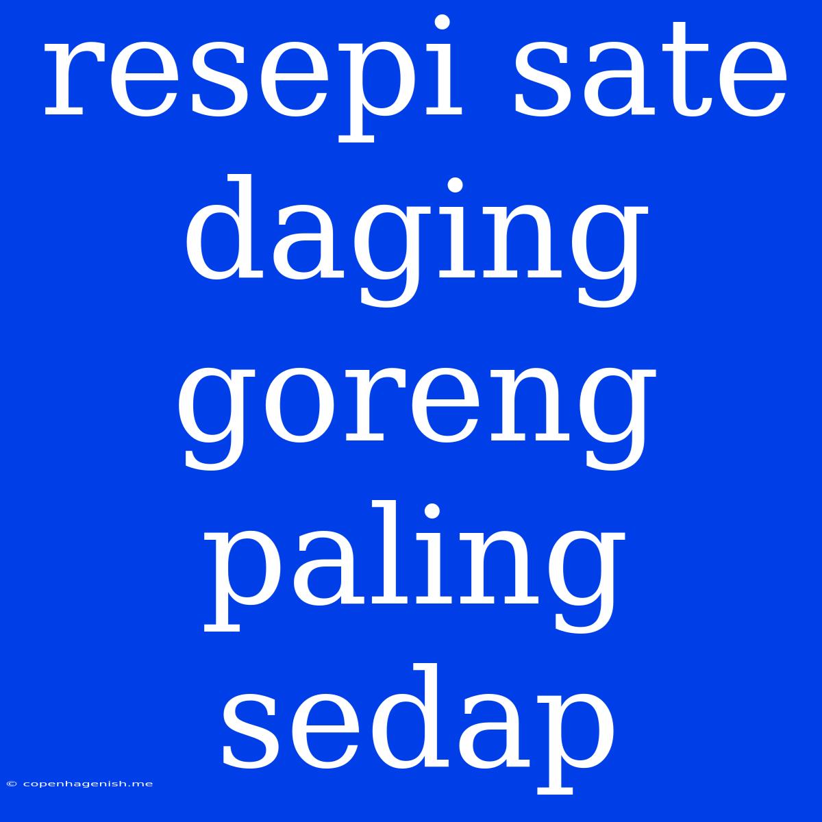 Resepi Sate Daging Goreng Paling Sedap