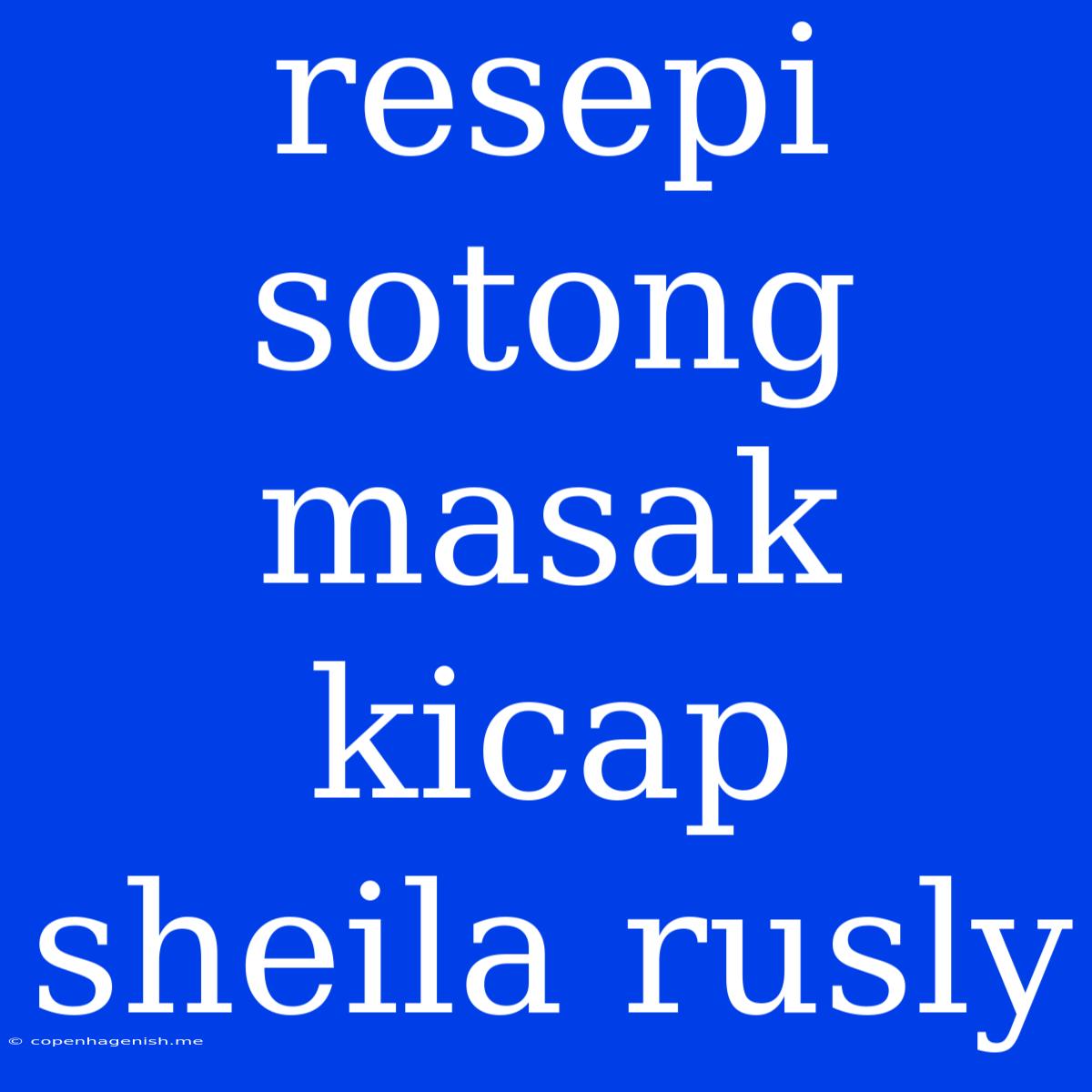 Resepi Sotong Masak Kicap Sheila Rusly