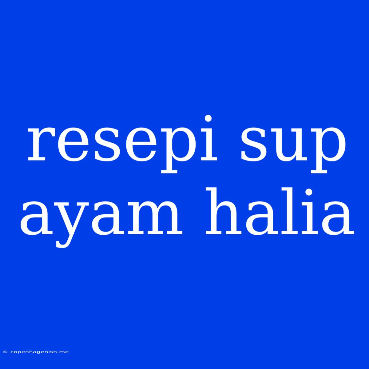 Resepi Sup Ayam Halia