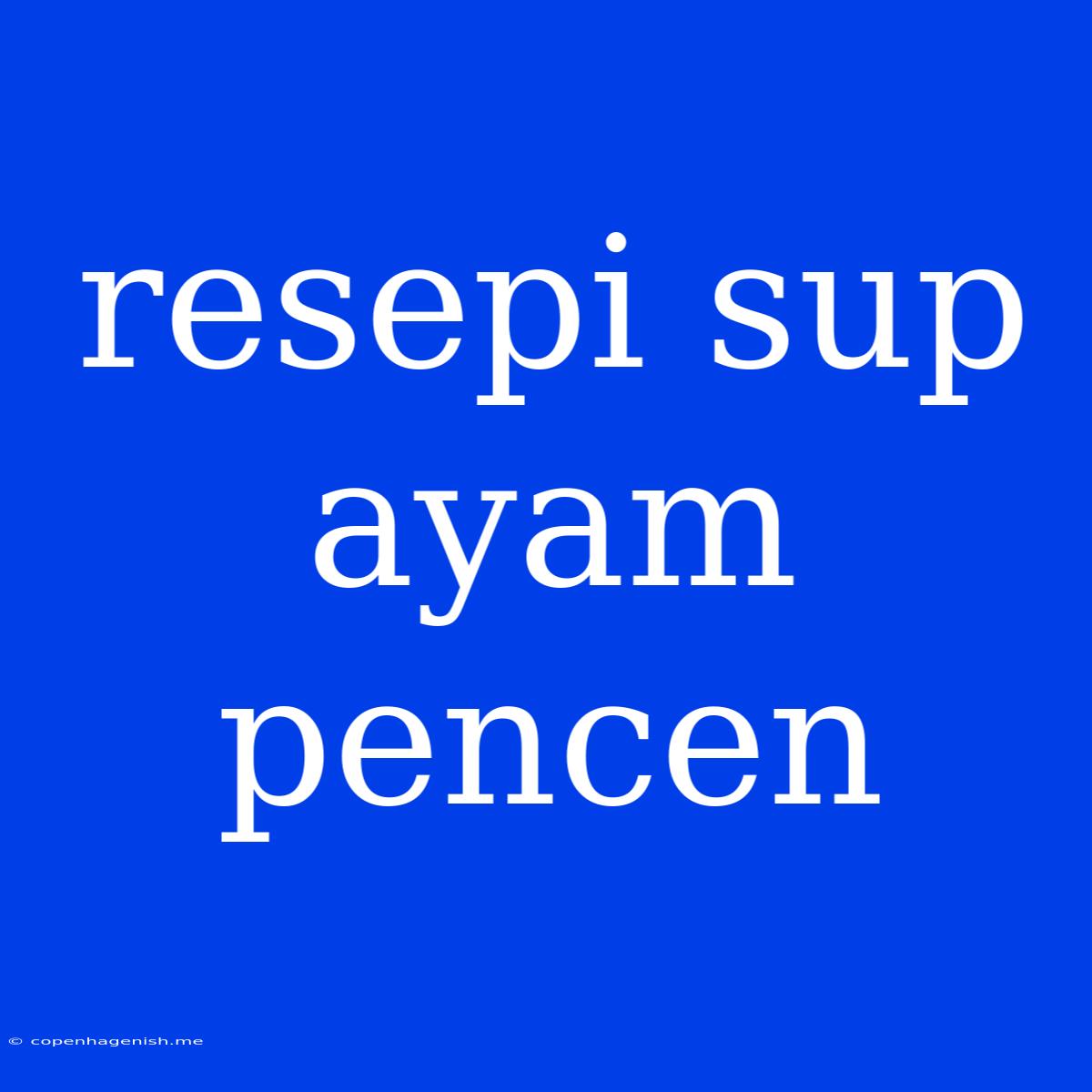 Resepi Sup Ayam Pencen