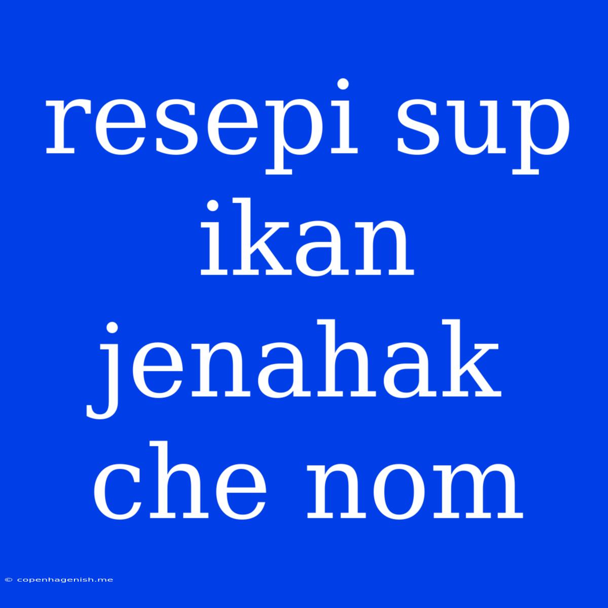 Resepi Sup Ikan Jenahak Che Nom