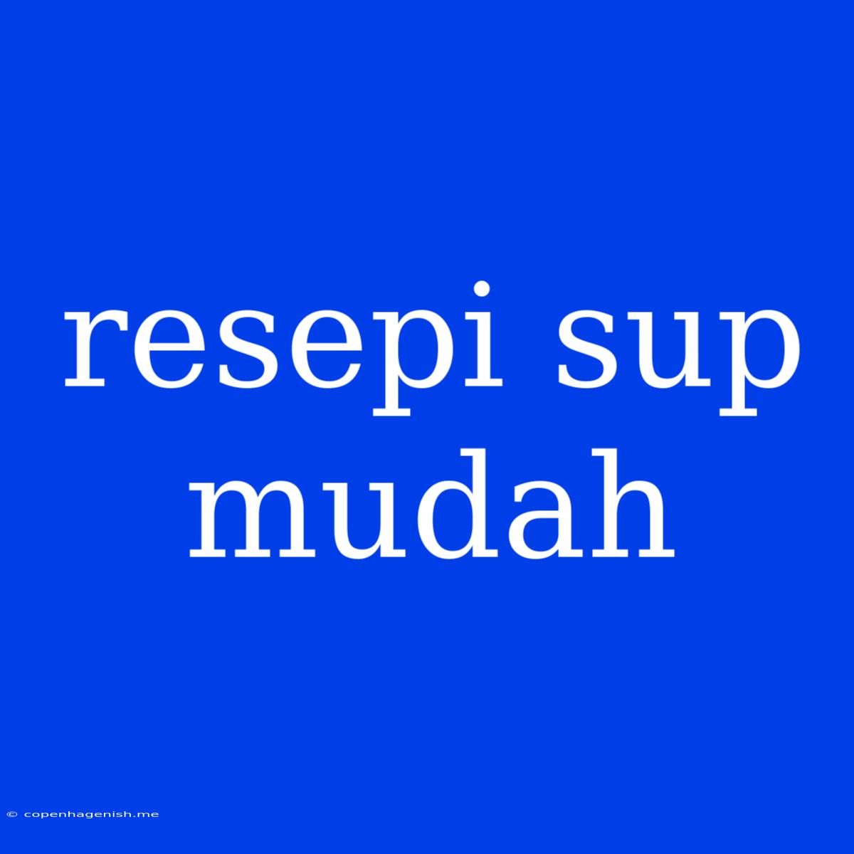 Resepi Sup Mudah