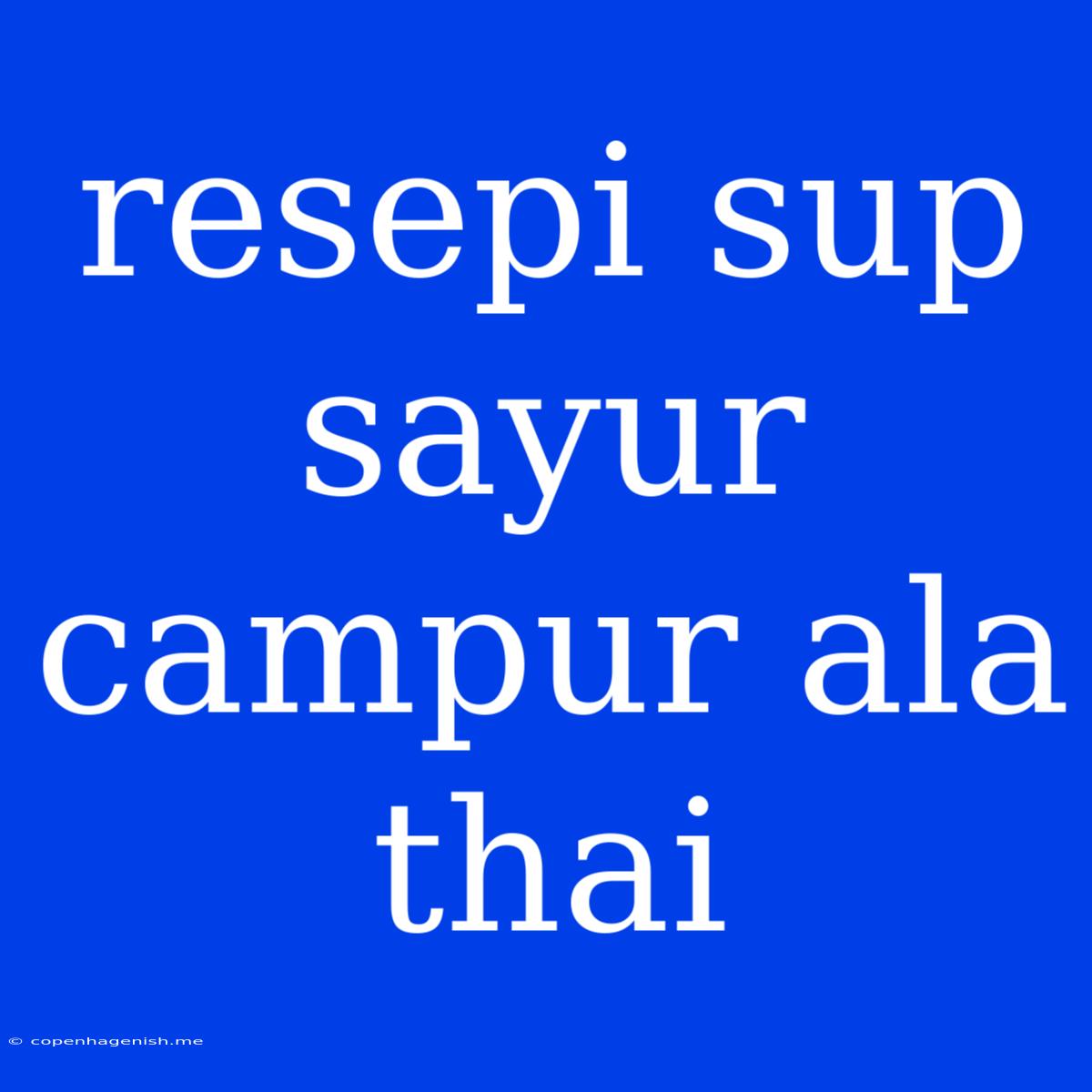 Resepi Sup Sayur Campur Ala Thai