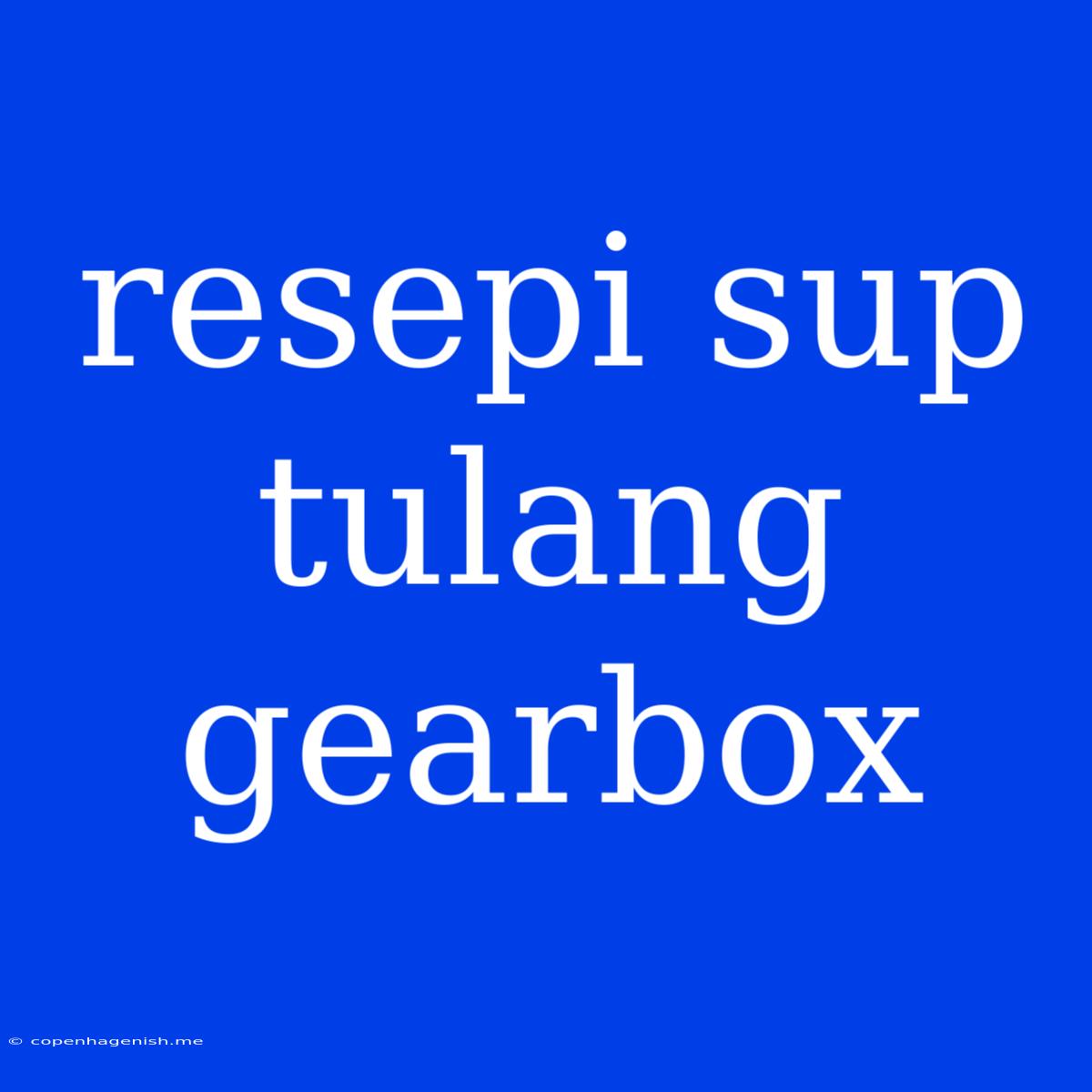 Resepi Sup Tulang Gearbox