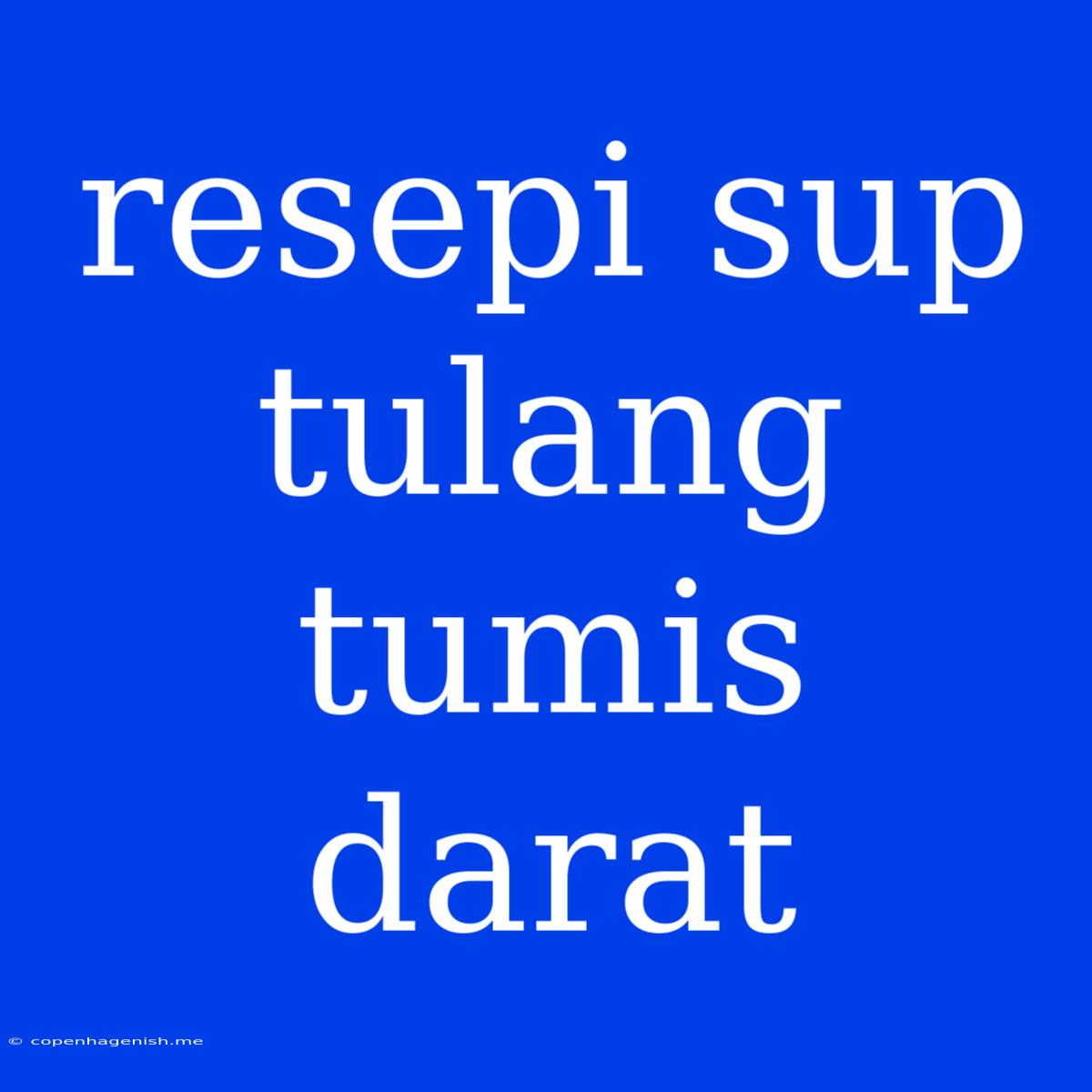 Resepi Sup Tulang Tumis Darat