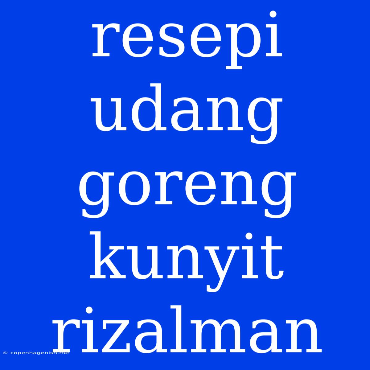 Resepi Udang Goreng Kunyit Rizalman