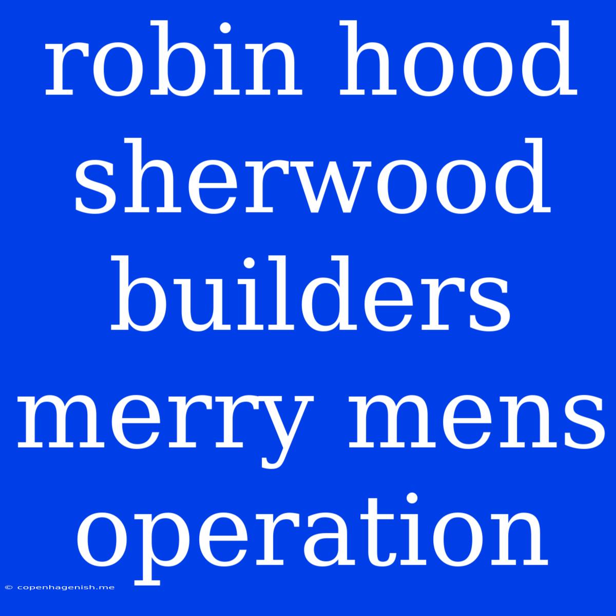 Robin Hood Sherwood Builders Merry Mens Operation