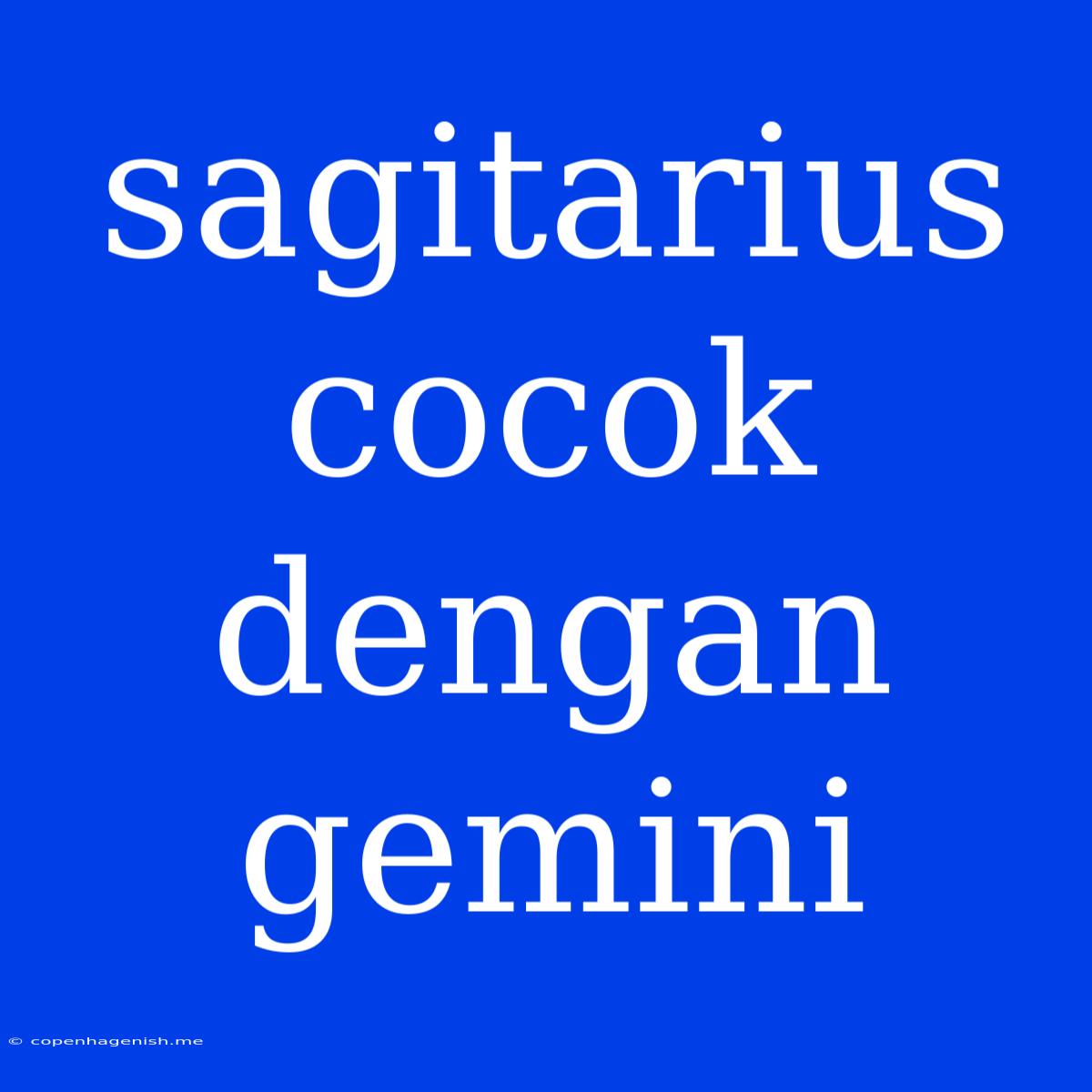 Sagitarius Cocok Dengan Gemini