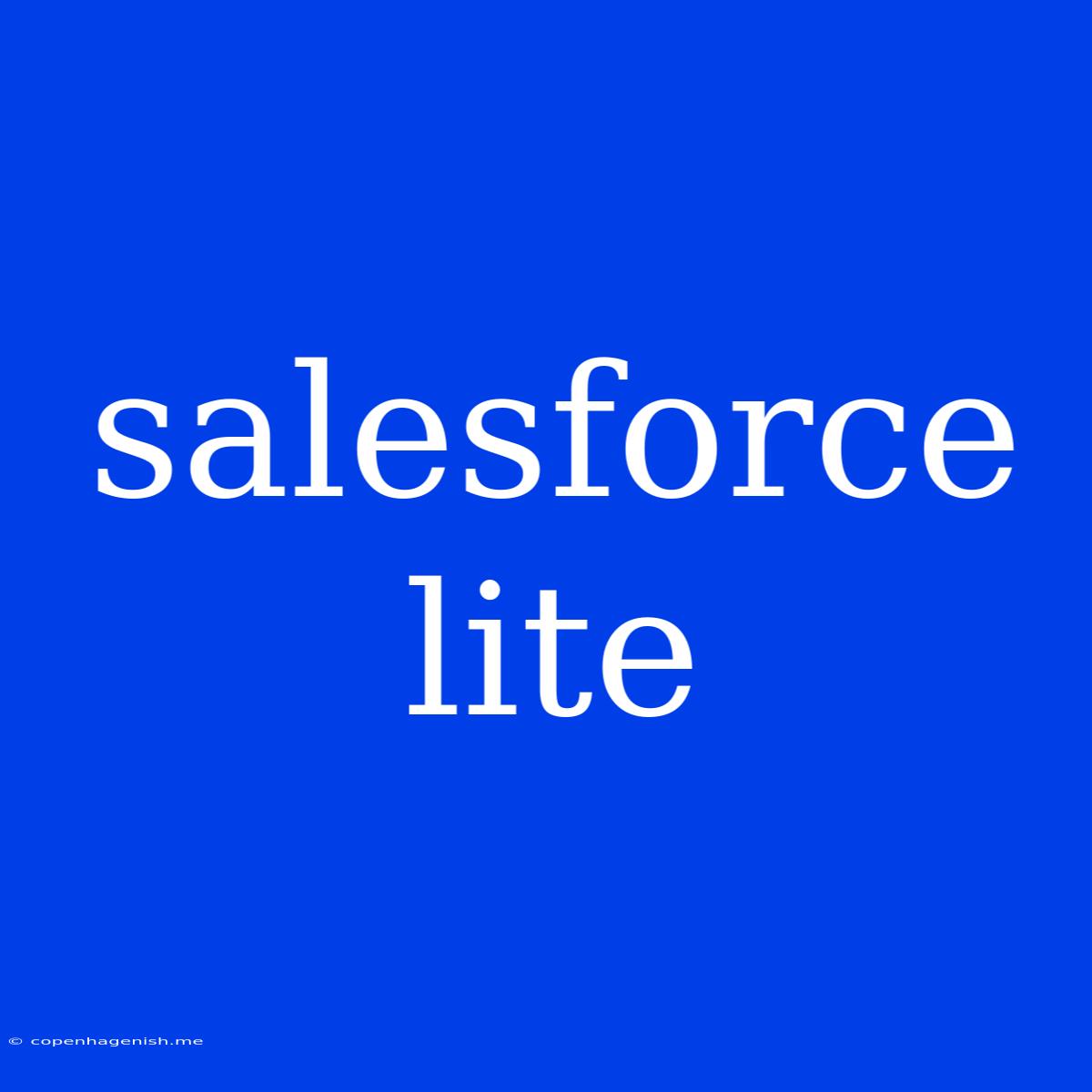 Salesforce Lite