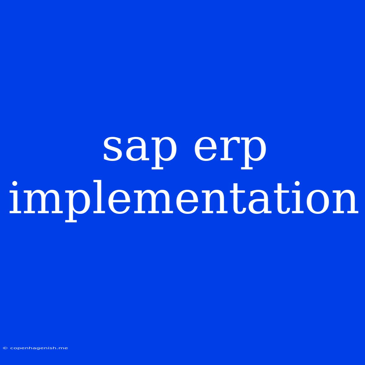 Sap Erp Implementation