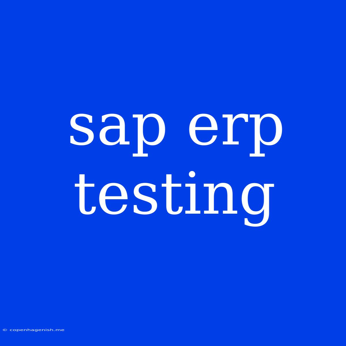 Sap Erp Testing