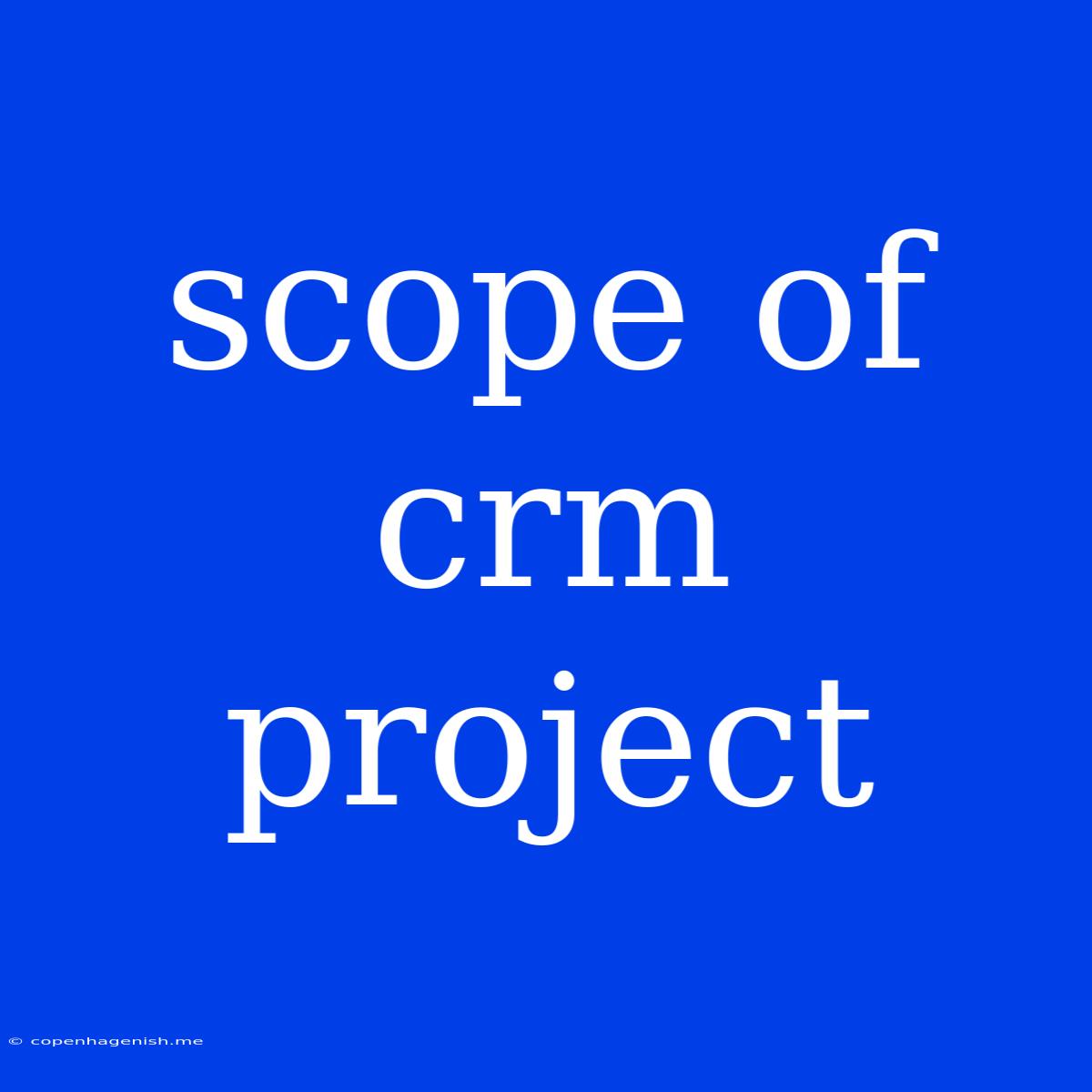 Scope Of Crm Project