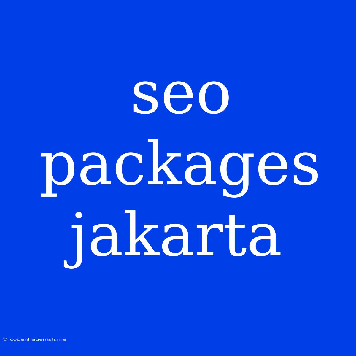 Seo Packages Jakarta