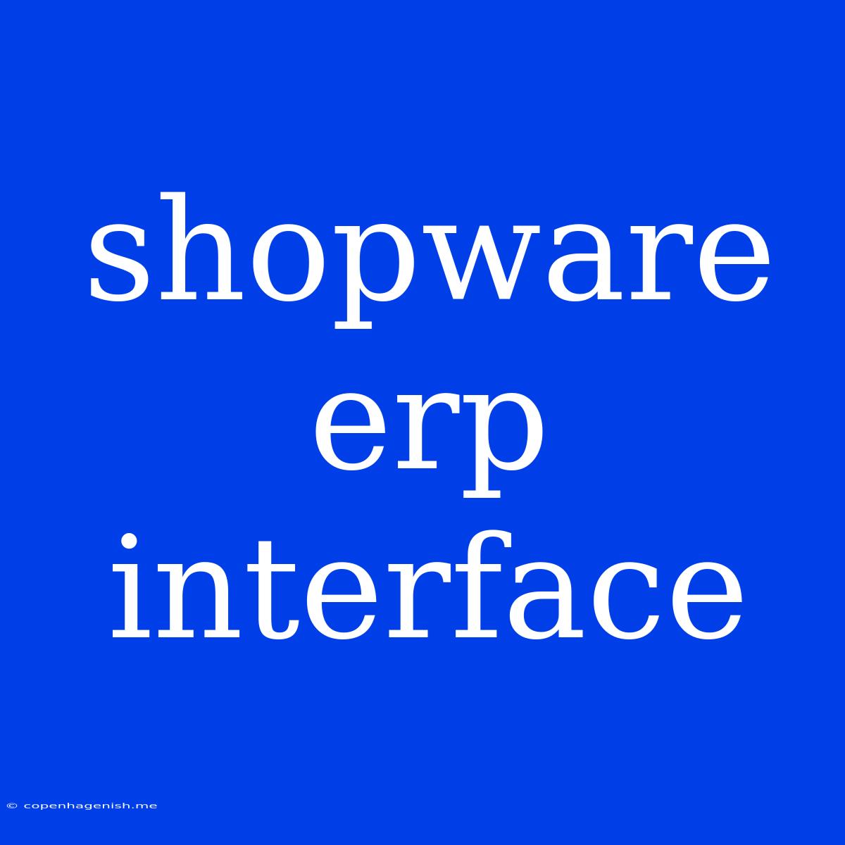 Shopware Erp Interface